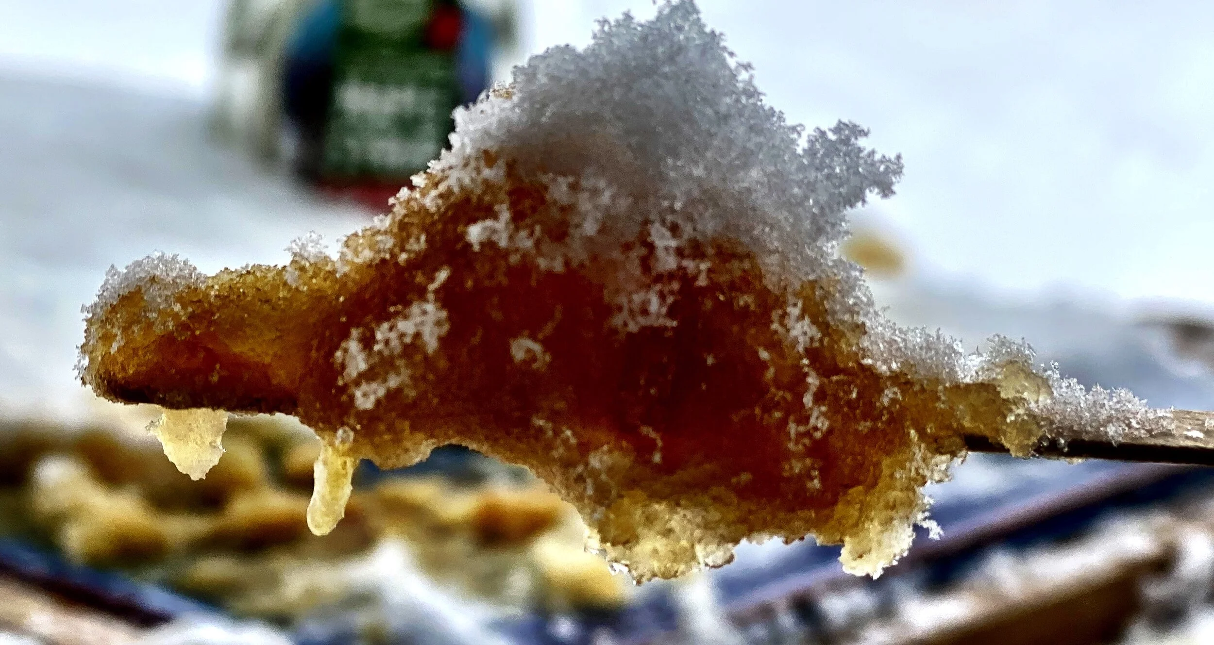 WINTER MAPLE TAFFY