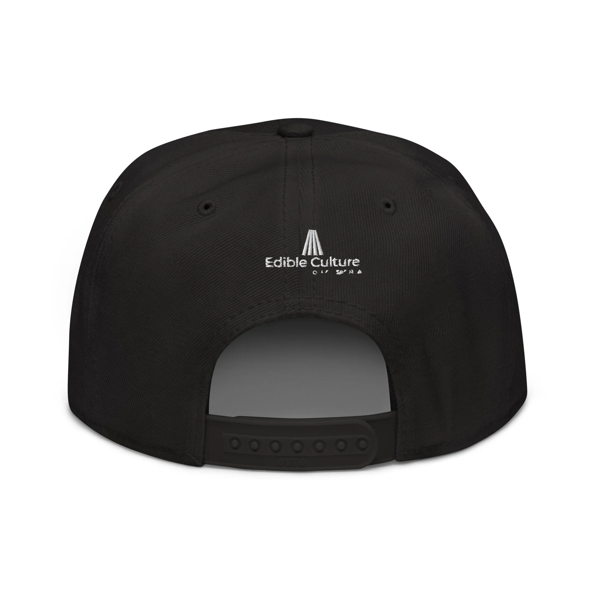 snapback-black-back-646414fea36e4.jpg