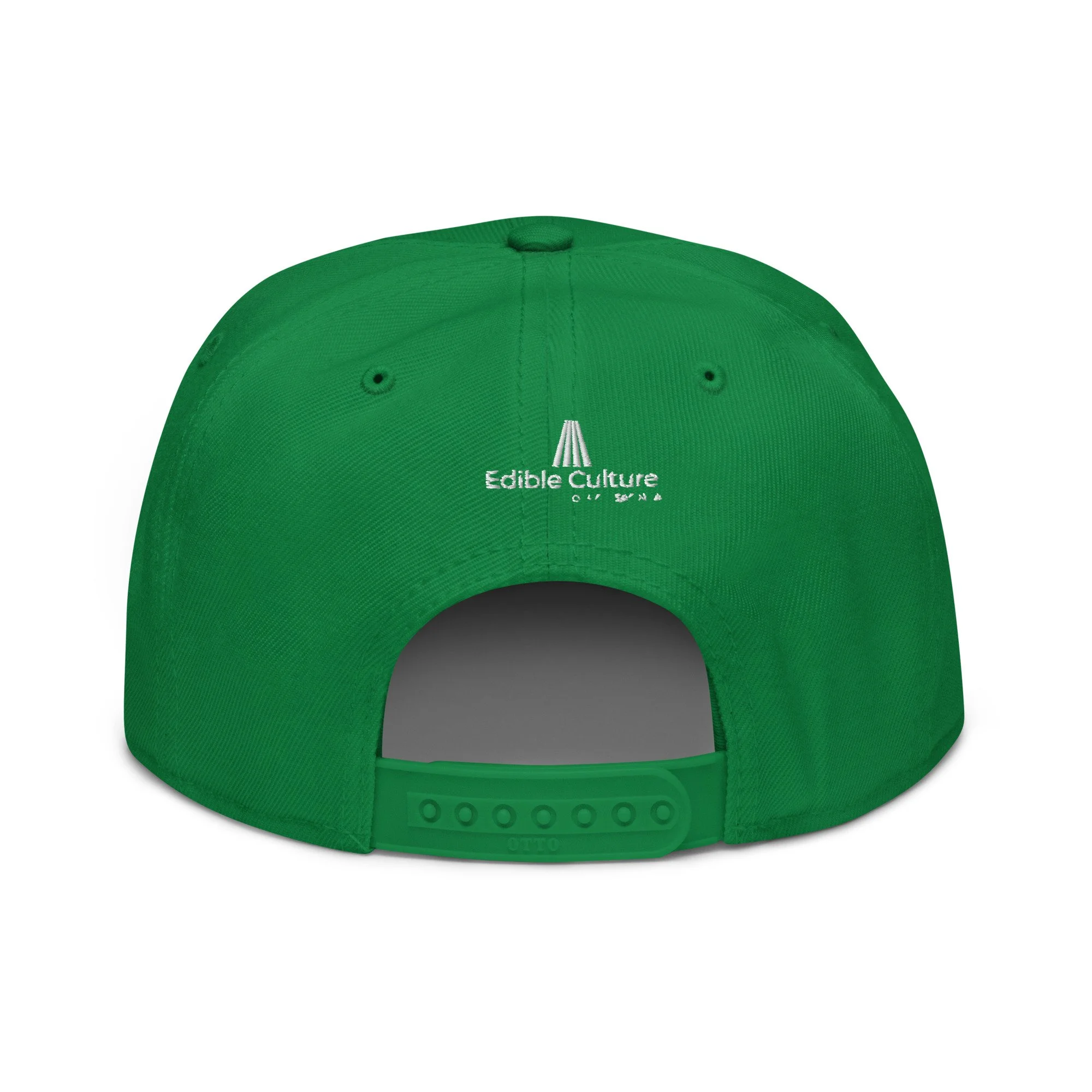 snapback-kelly-green-back-646414fea3b4b.jpg
