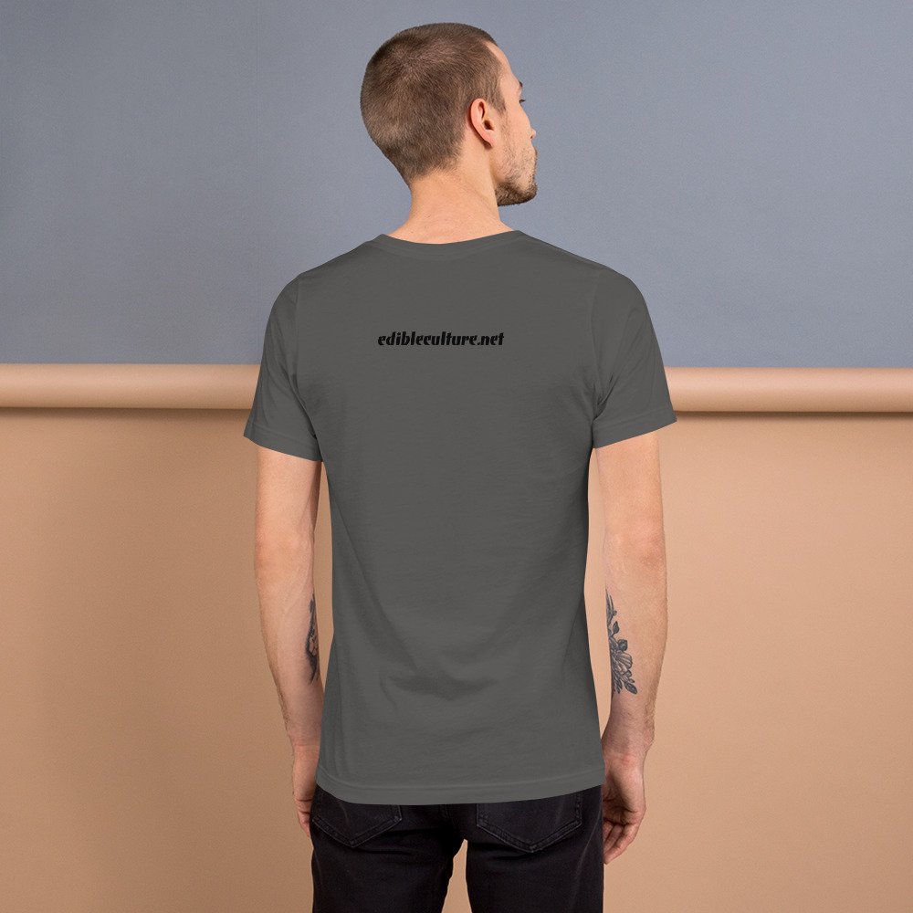 unisex-staple-t-shirt-asphalt-back-647f4a935cf23.jpg