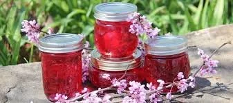 RED BUD JELLY.jpg
