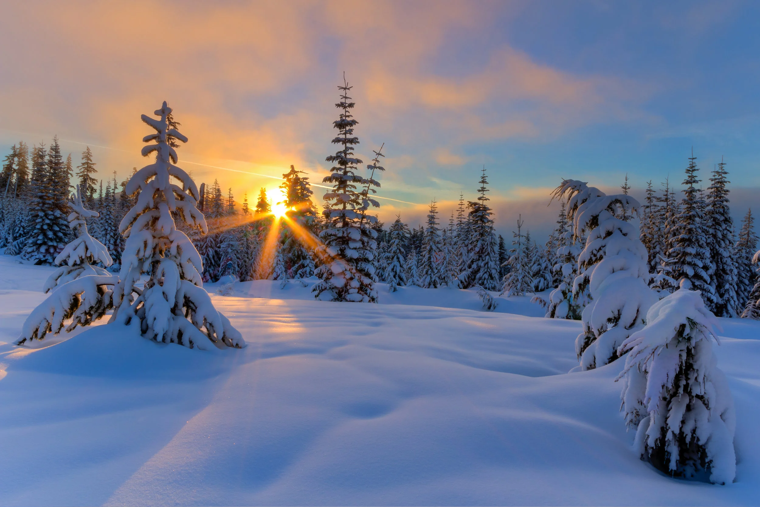 Fuji Mountain Sunrise