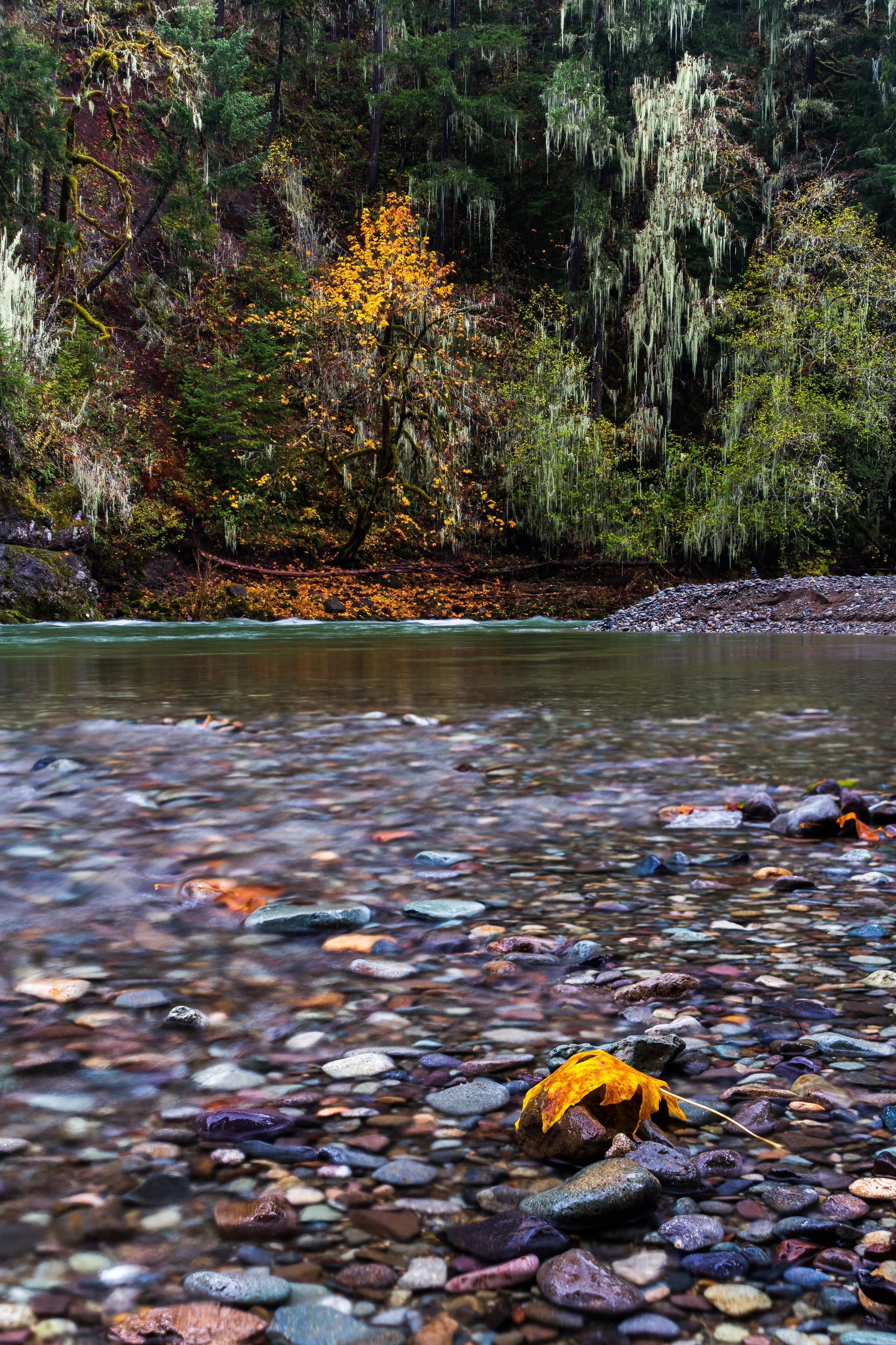 Autumn on the Santiam