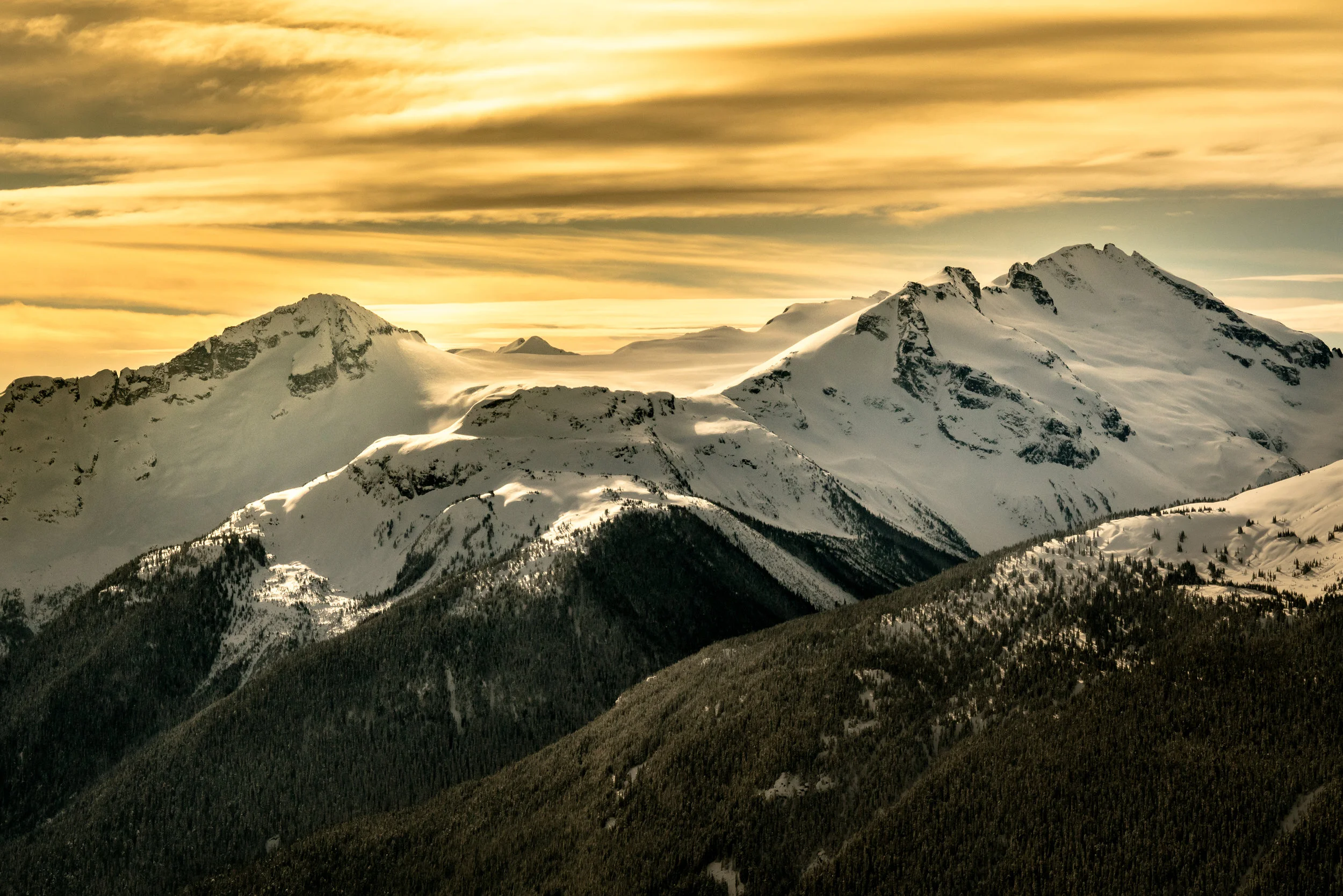 Whistler Skyline