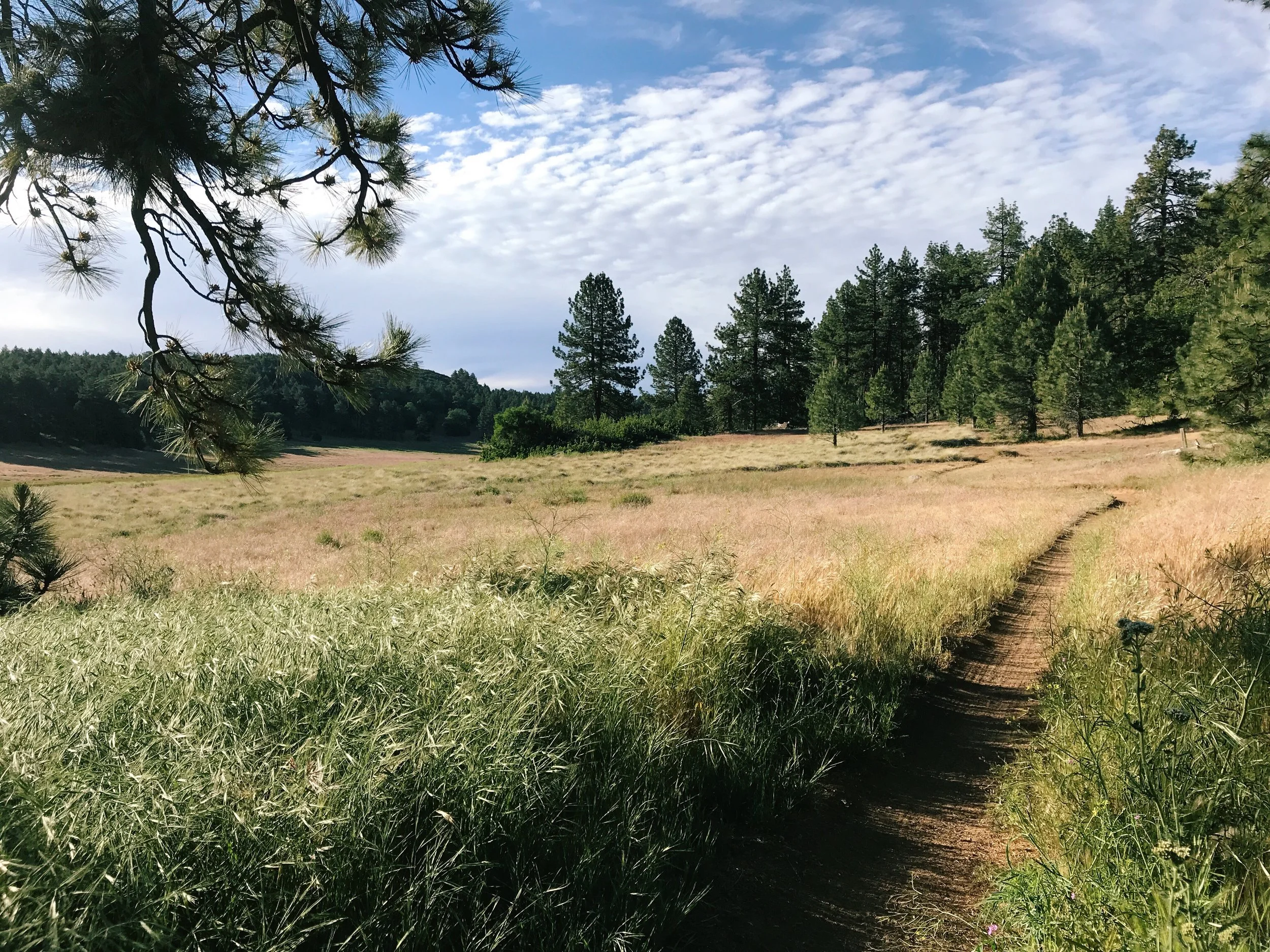 Our Very First T-Shirt - Clean, Black & Comfortable