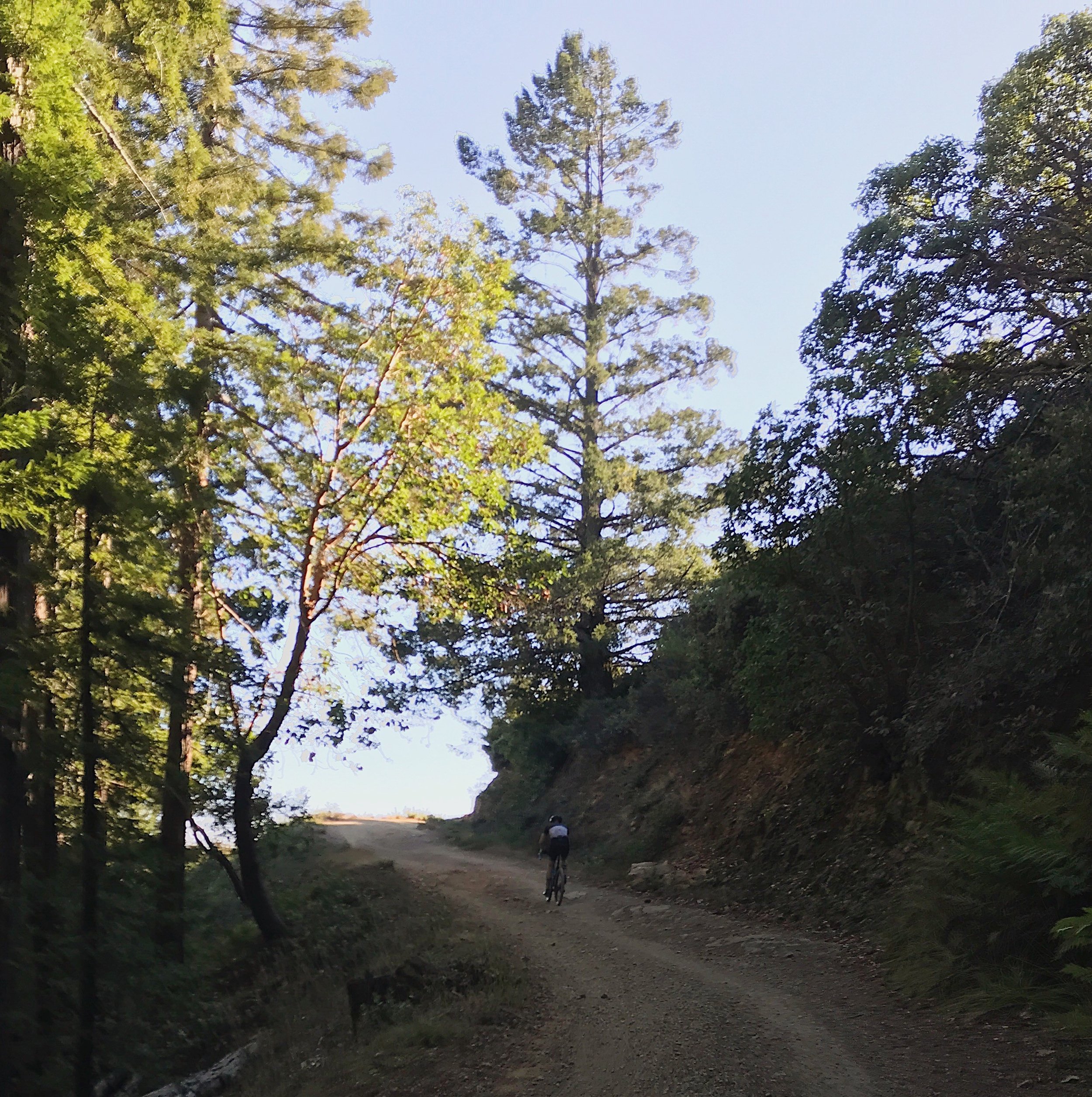 Gravel Climb Mt. Tam