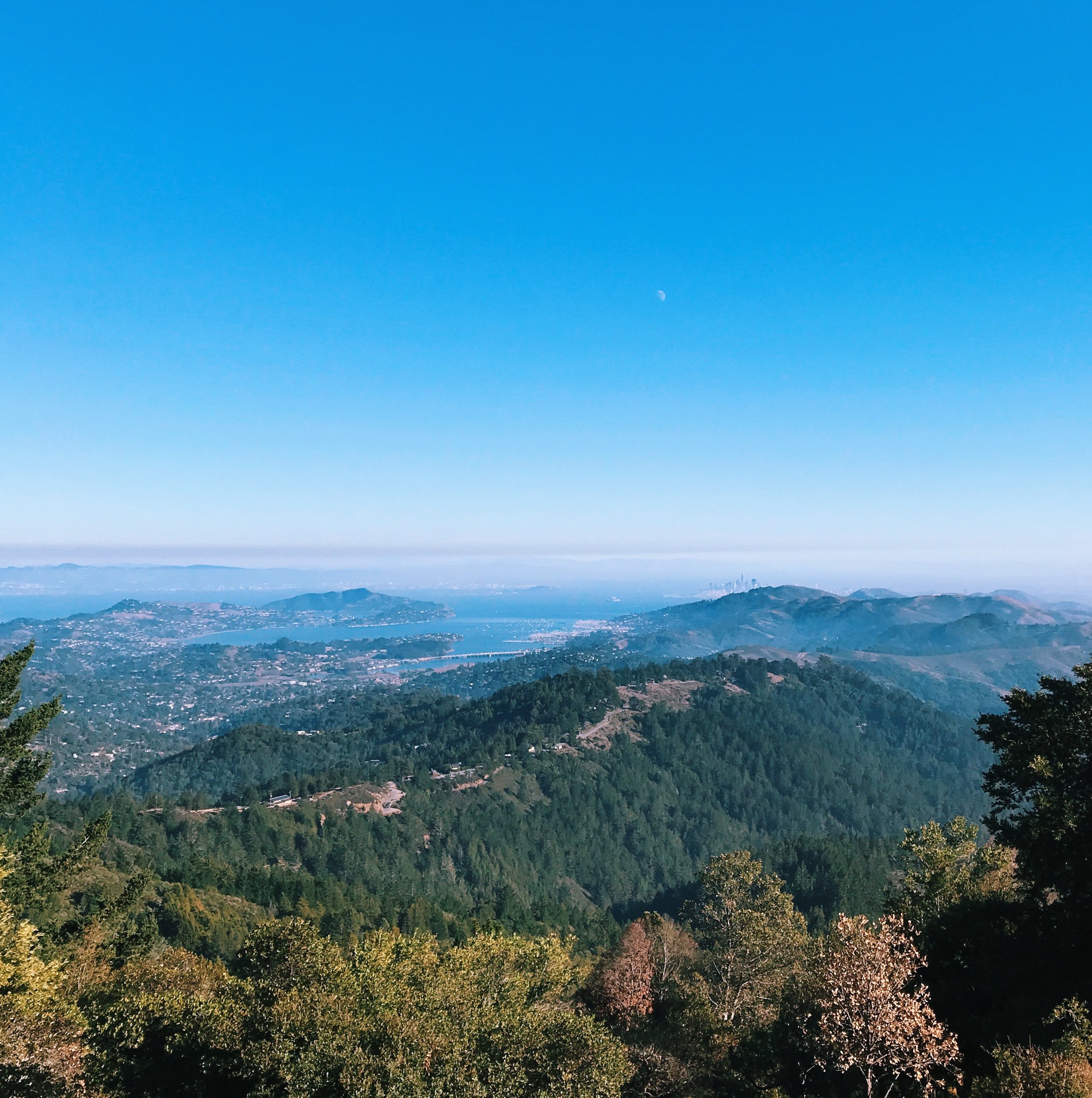 Mt. Tam View