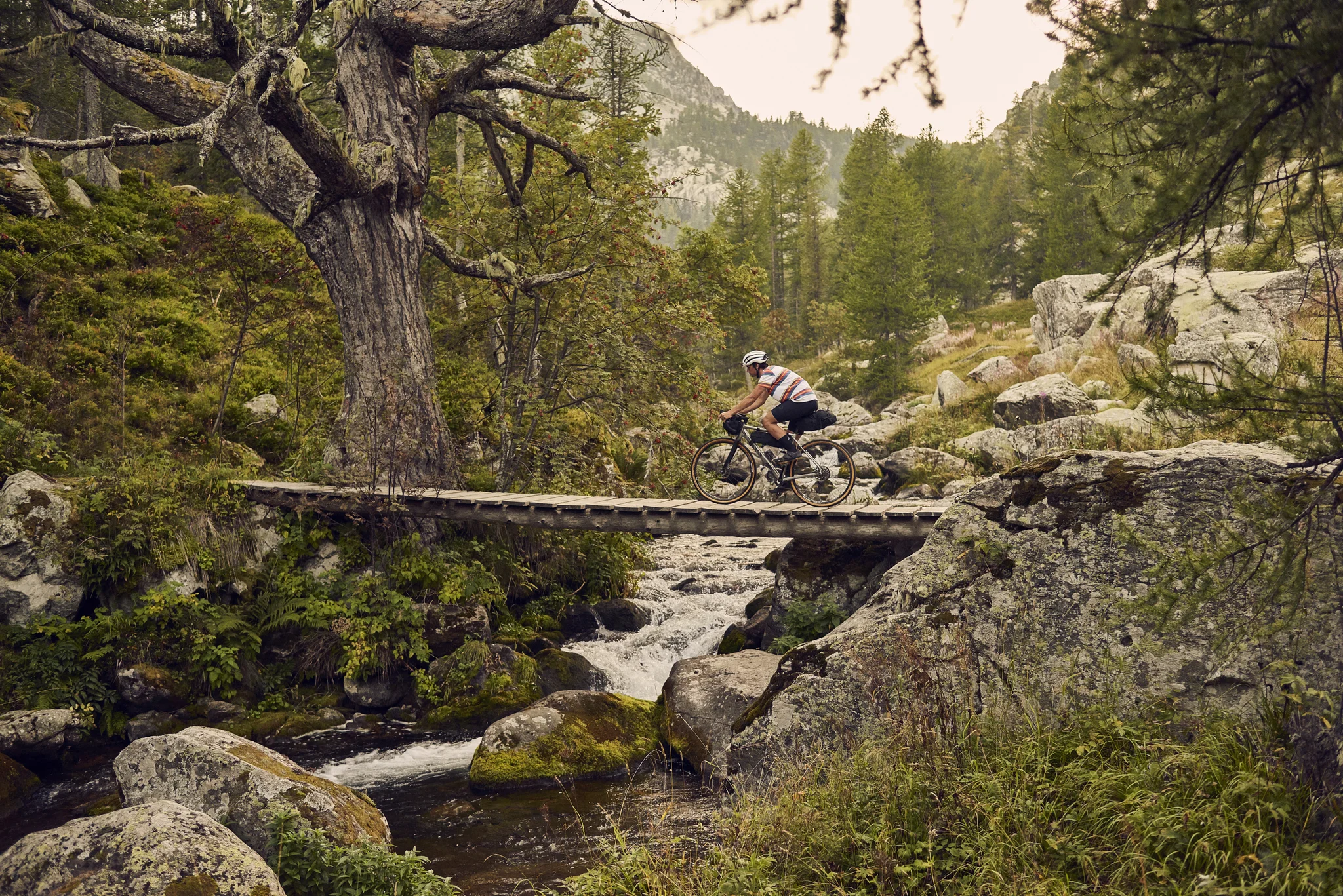 best gravel bikes under $2000