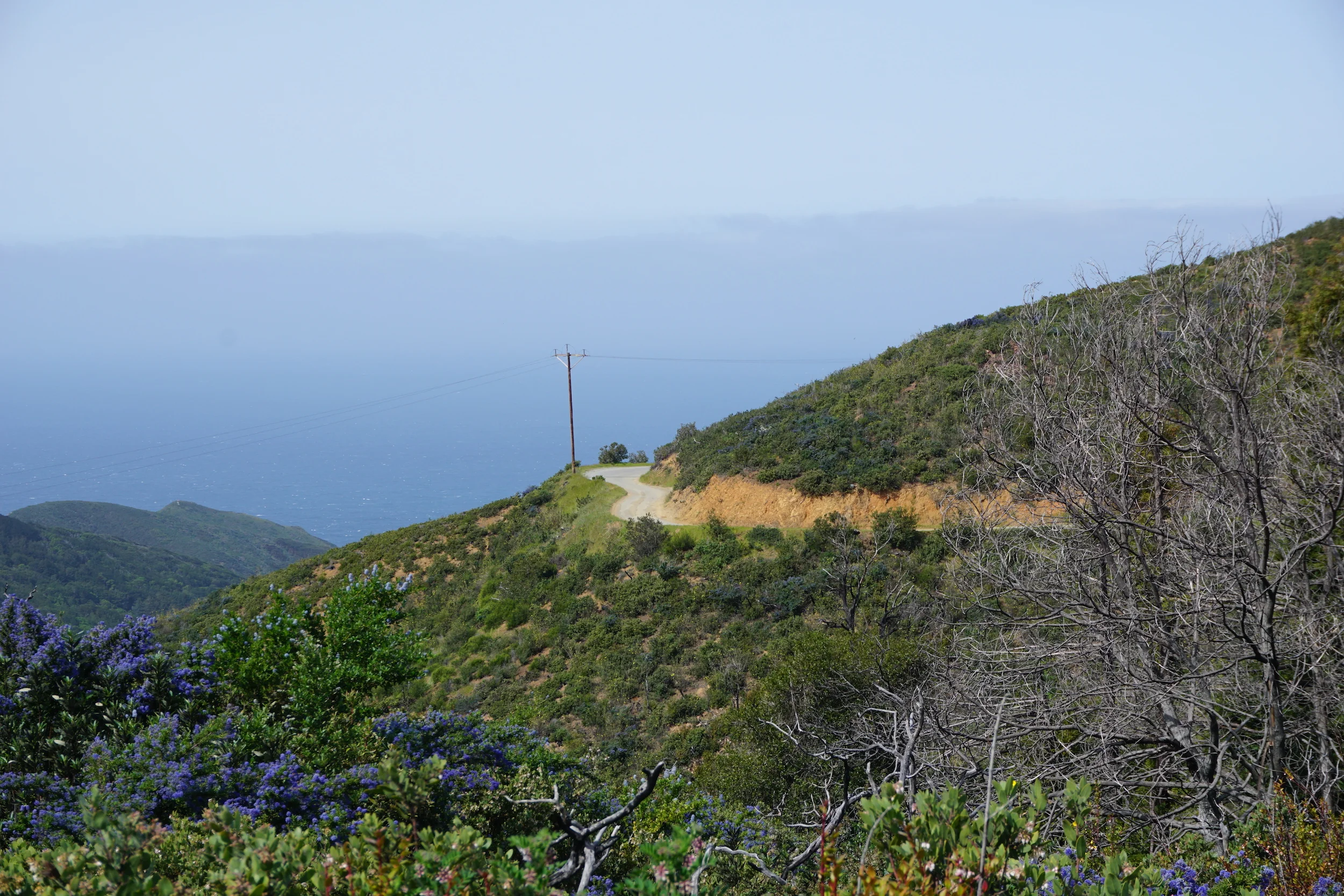 SFO to Sea Otter with ENVE