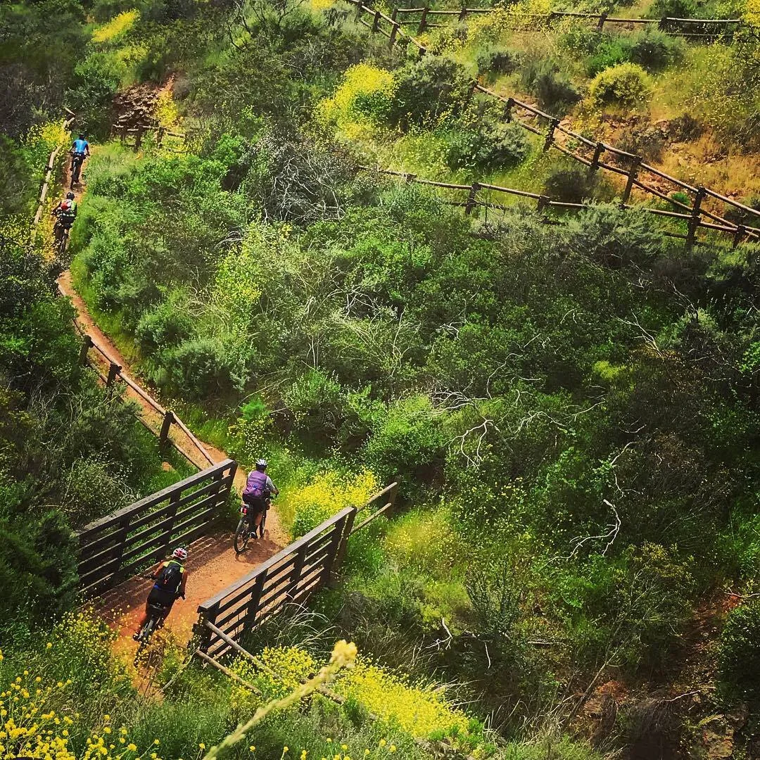 rancho sante fe_stagecoach_mpistono.jpg