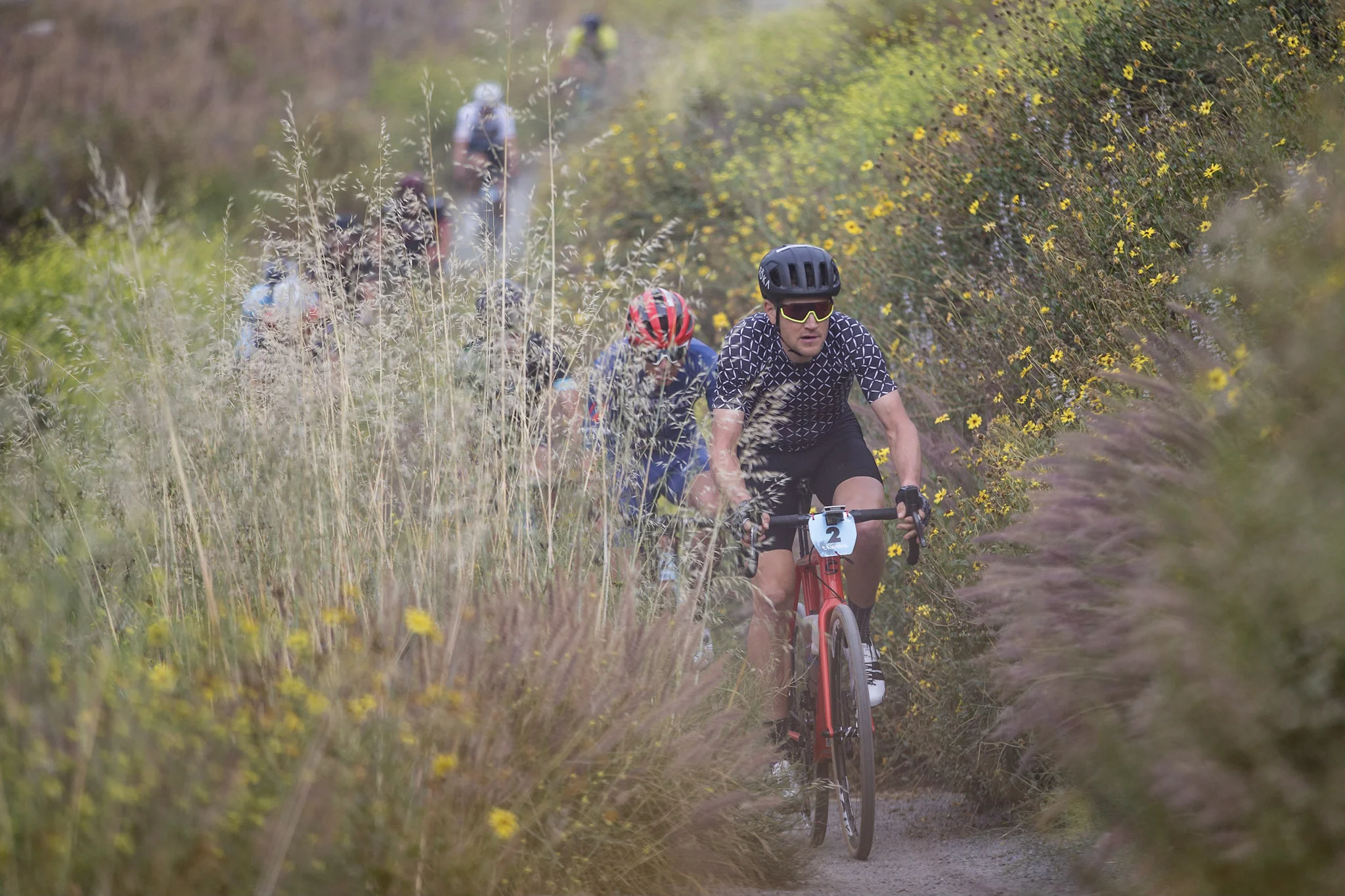 An Interview With Ted King - Rooted Vermont