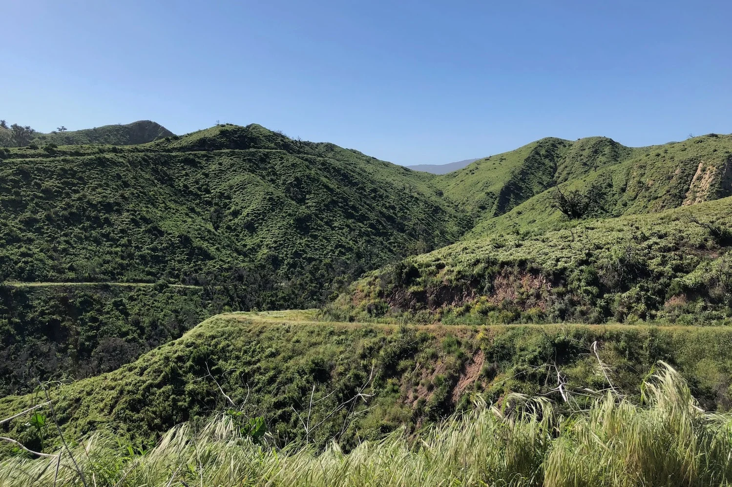 gravelstoke_elcap+hillside.jpg