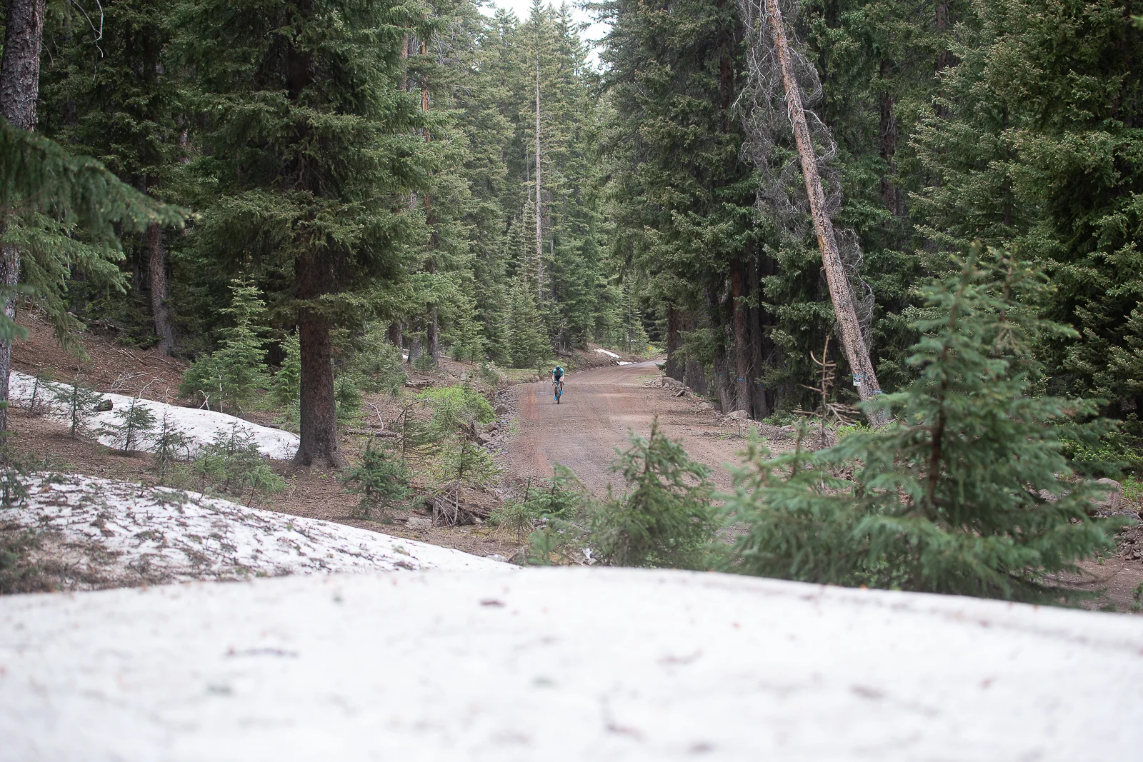 Getting lost in the Fishlake National Forest. PC: Catherine Fegan-Kim
