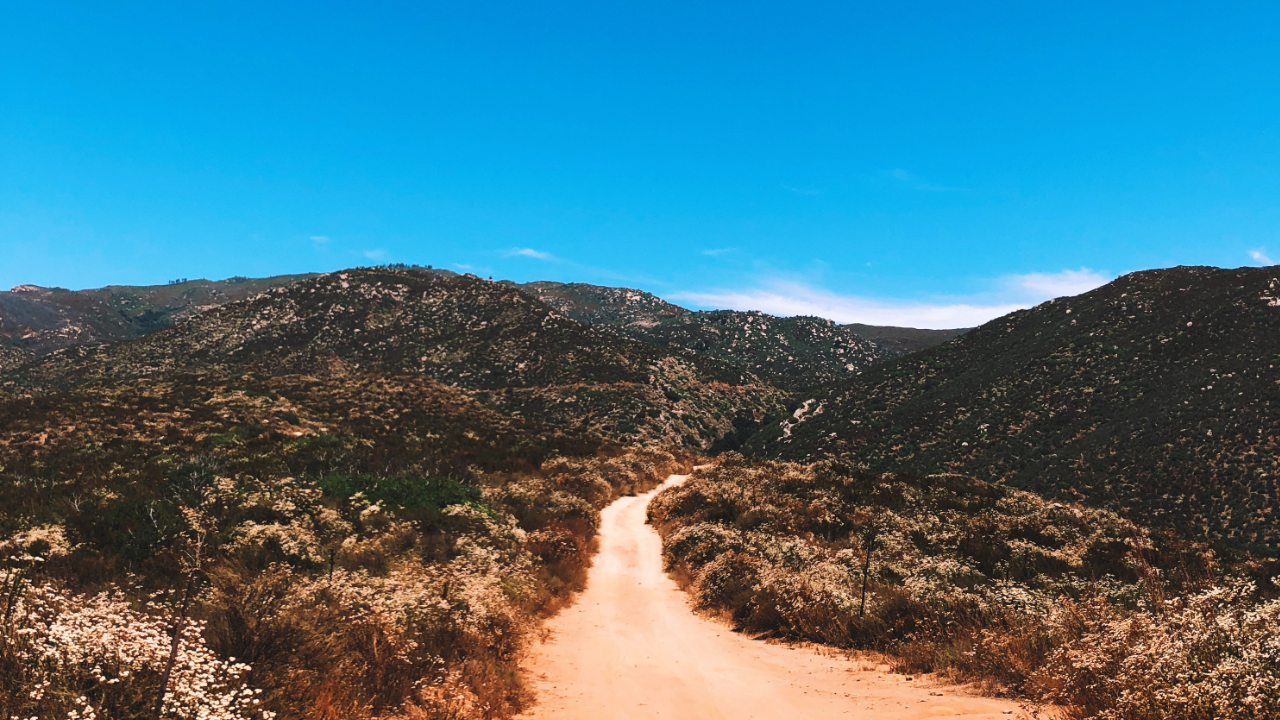 The 2020 Gravelstoke Development Team - Now Accepting Applications