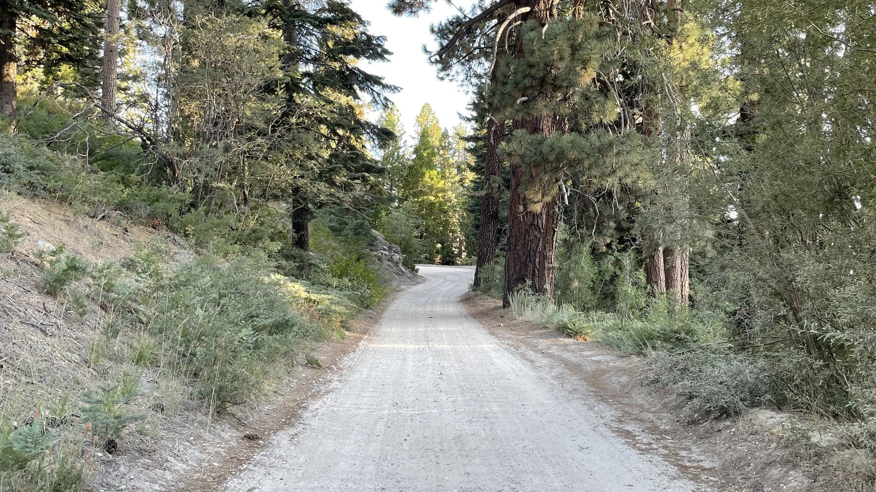 Mill Creek Road Gravel in Big Bear Lake