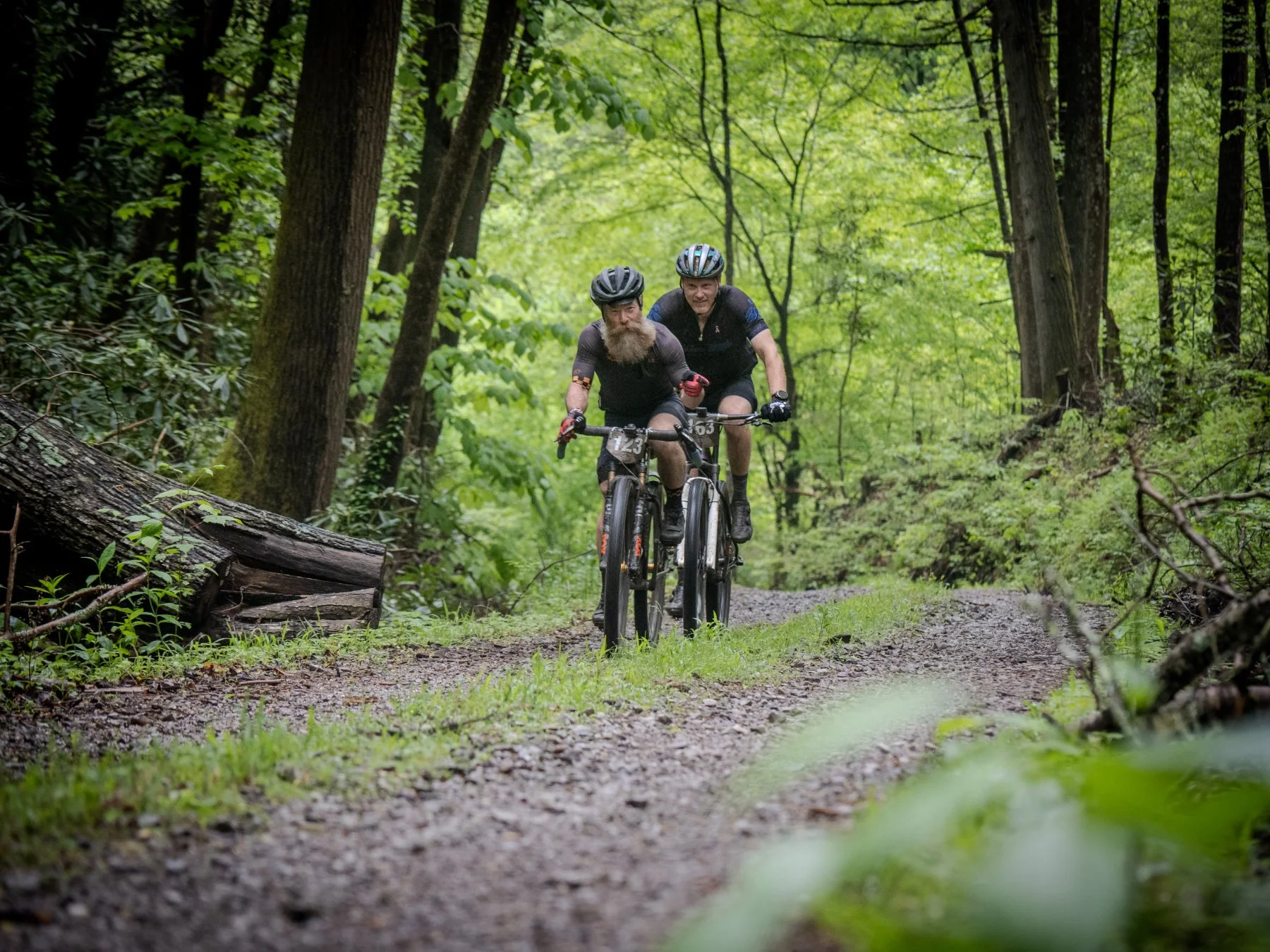 Tennessee Gravel Divisions: Exploring America's Overlooked Cycling Paradise