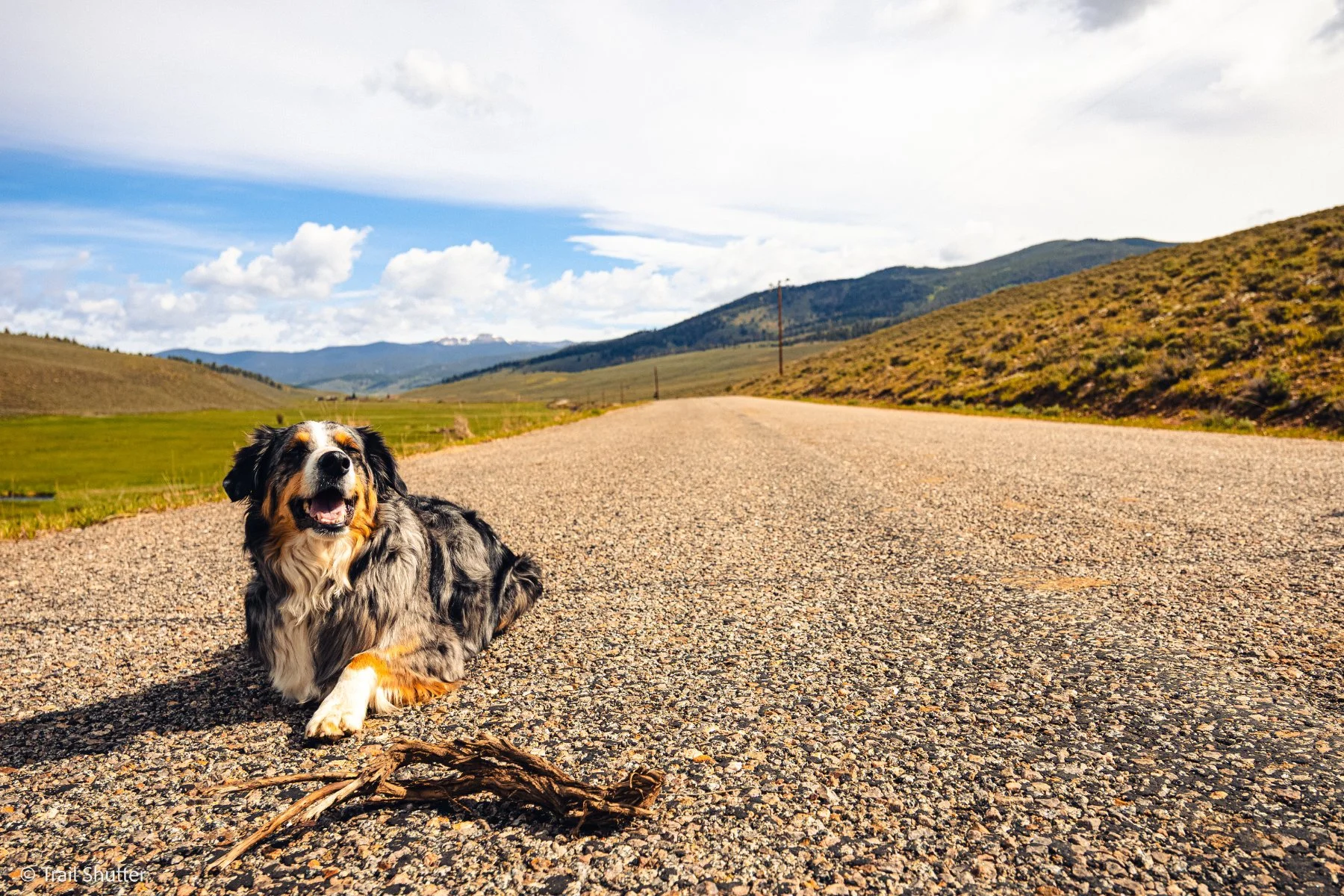 danielpalma_trailshutter_gunnison_gravelstoke_173.jpg