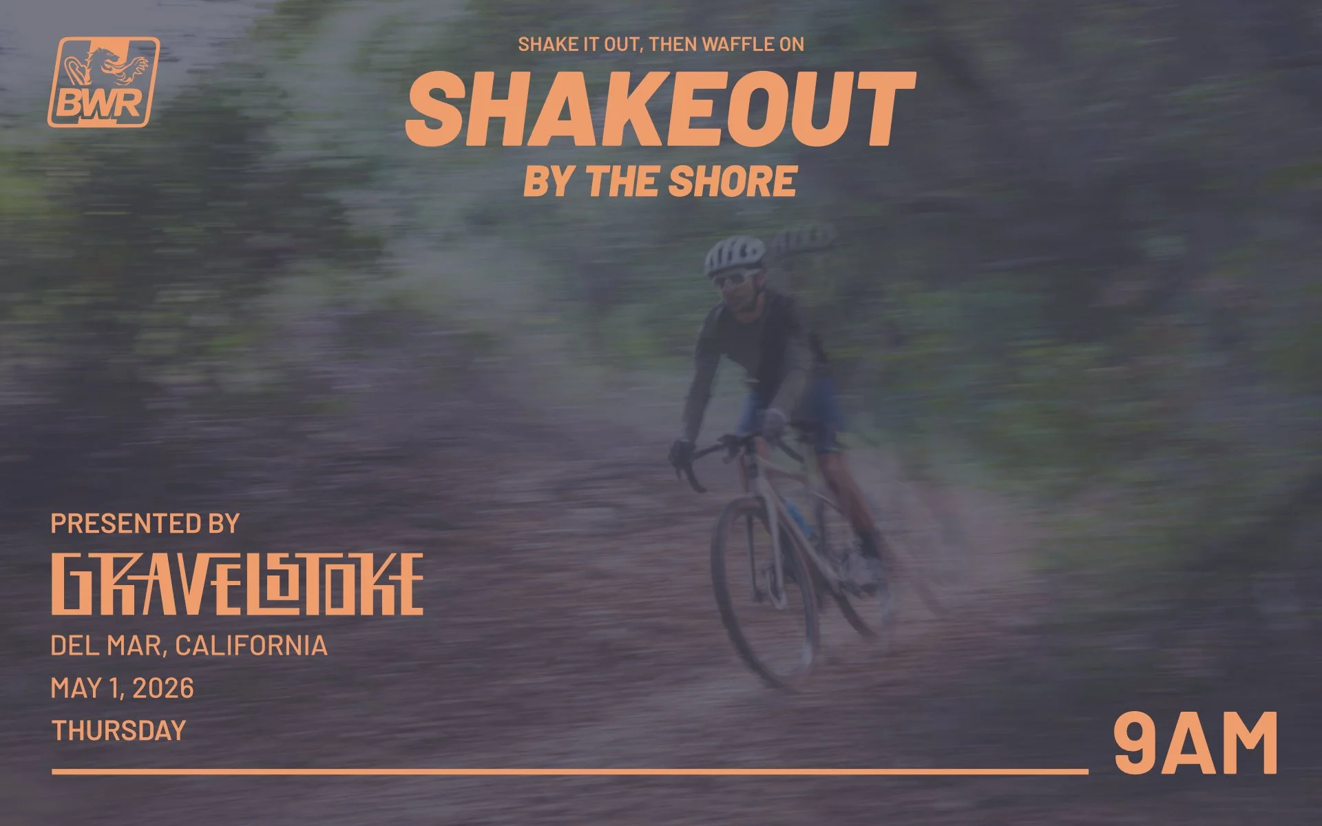 Shakeout by the Shore