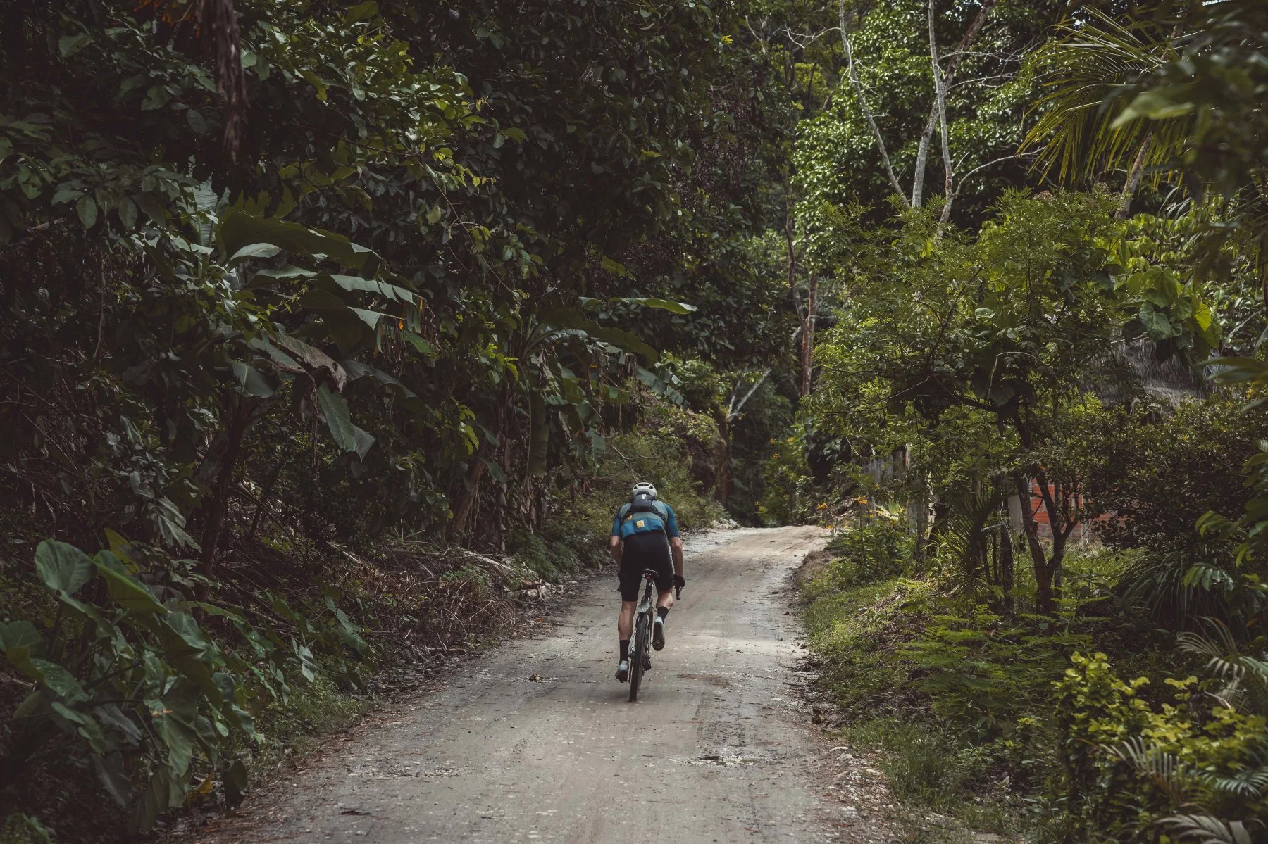 Transcordilleras: An Andean Adventure