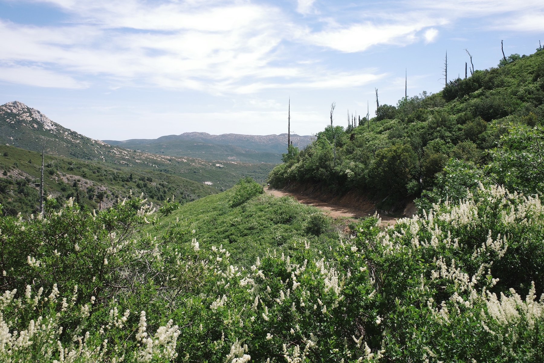 The Best San Diego Gravel Routes of 2026