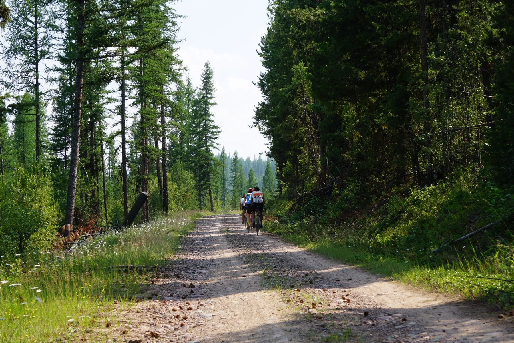 tch_mt_gravelstoke_3883.jpg