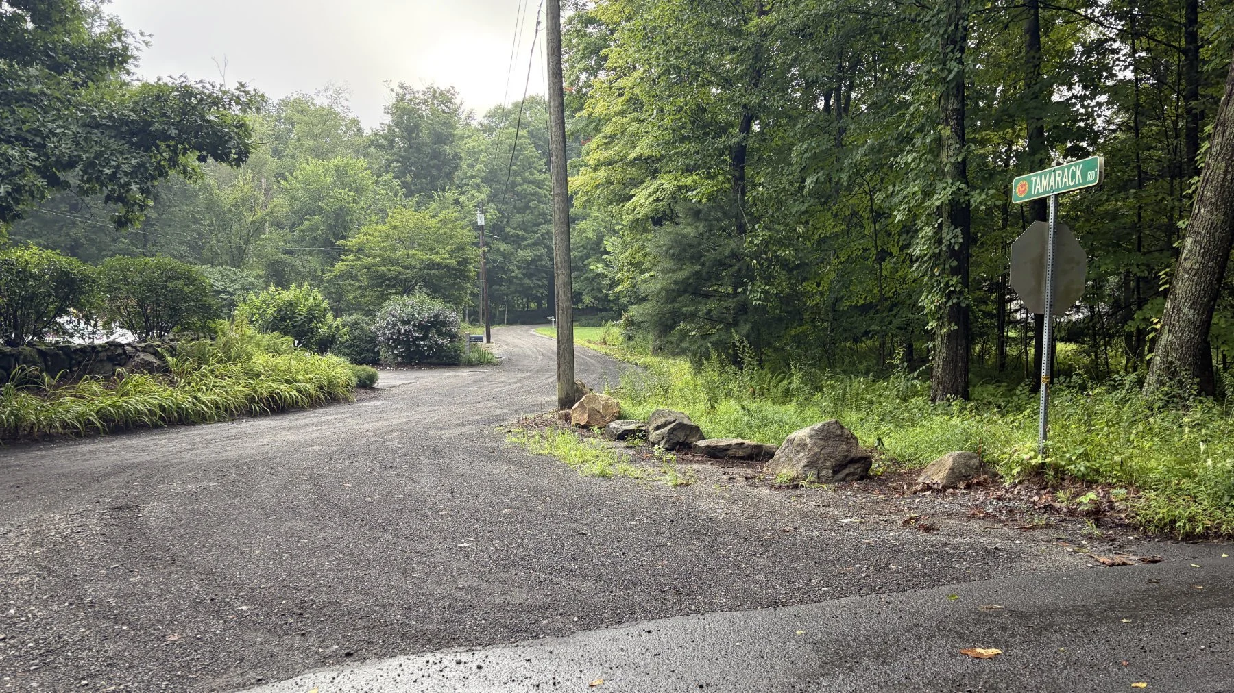brookfield-ct-gravelstoke-dmalwitz_4286.jpg