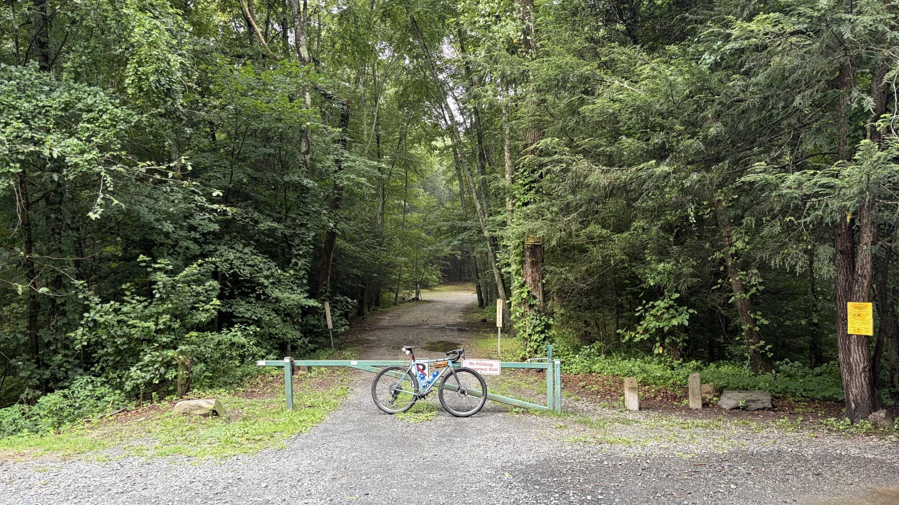 brookfield-ct-gravelstoke-dmalwitz_4304.jpg
