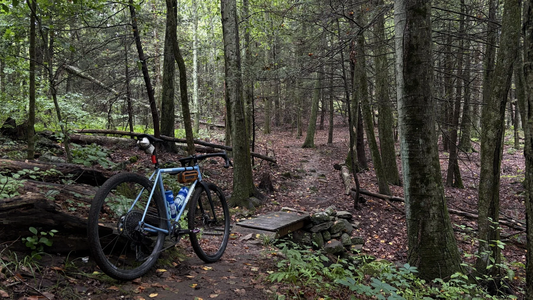 brookfield-ct-gravelstoke-dmalwitz_4310.jpg