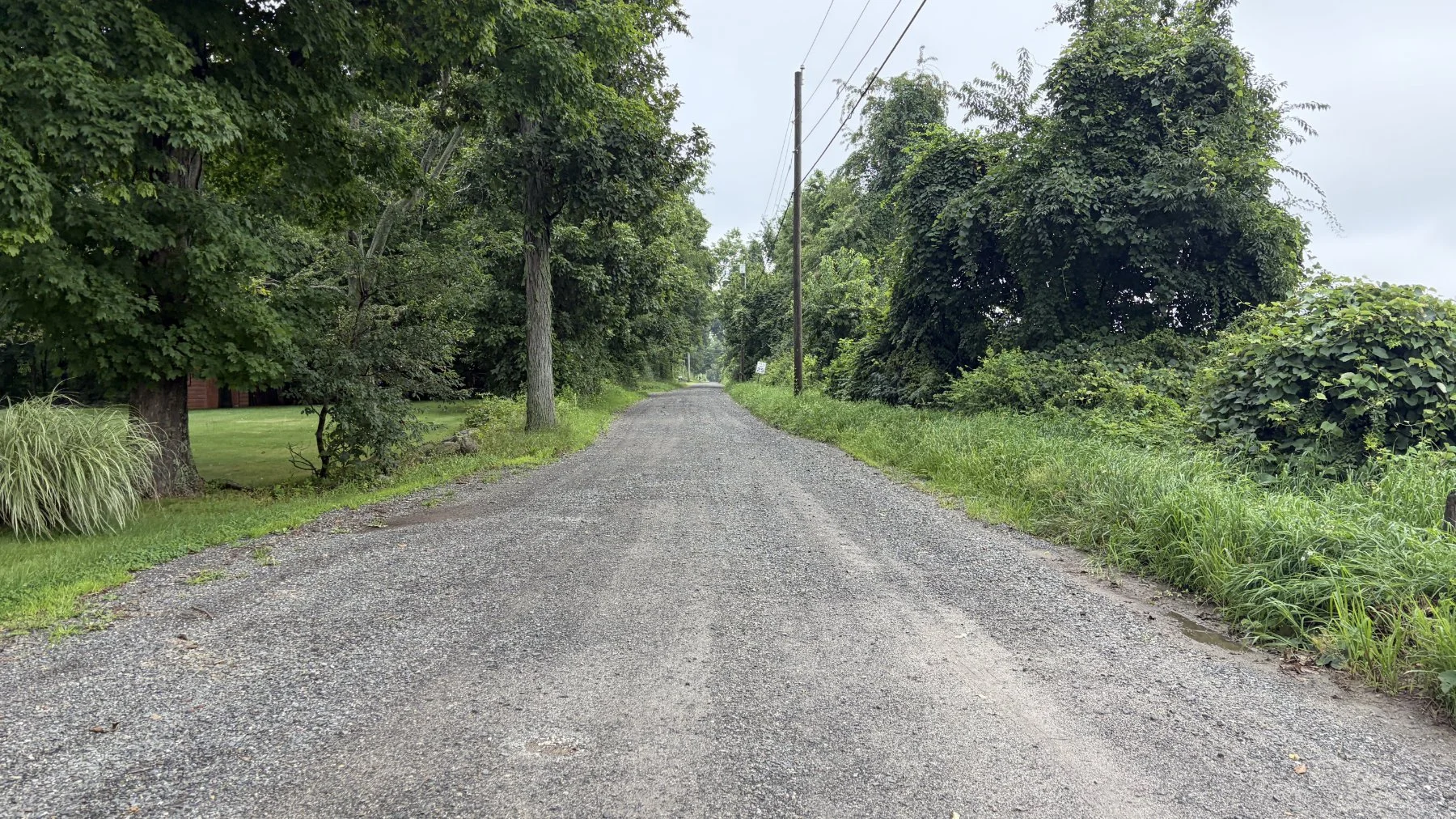 brookfield-ct-gravelstoke-dmalwitz_4316.jpg