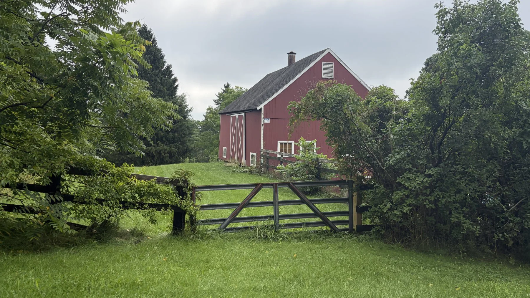 brookfield-ct-gravelstoke-dmalwitz_4320.jpg
