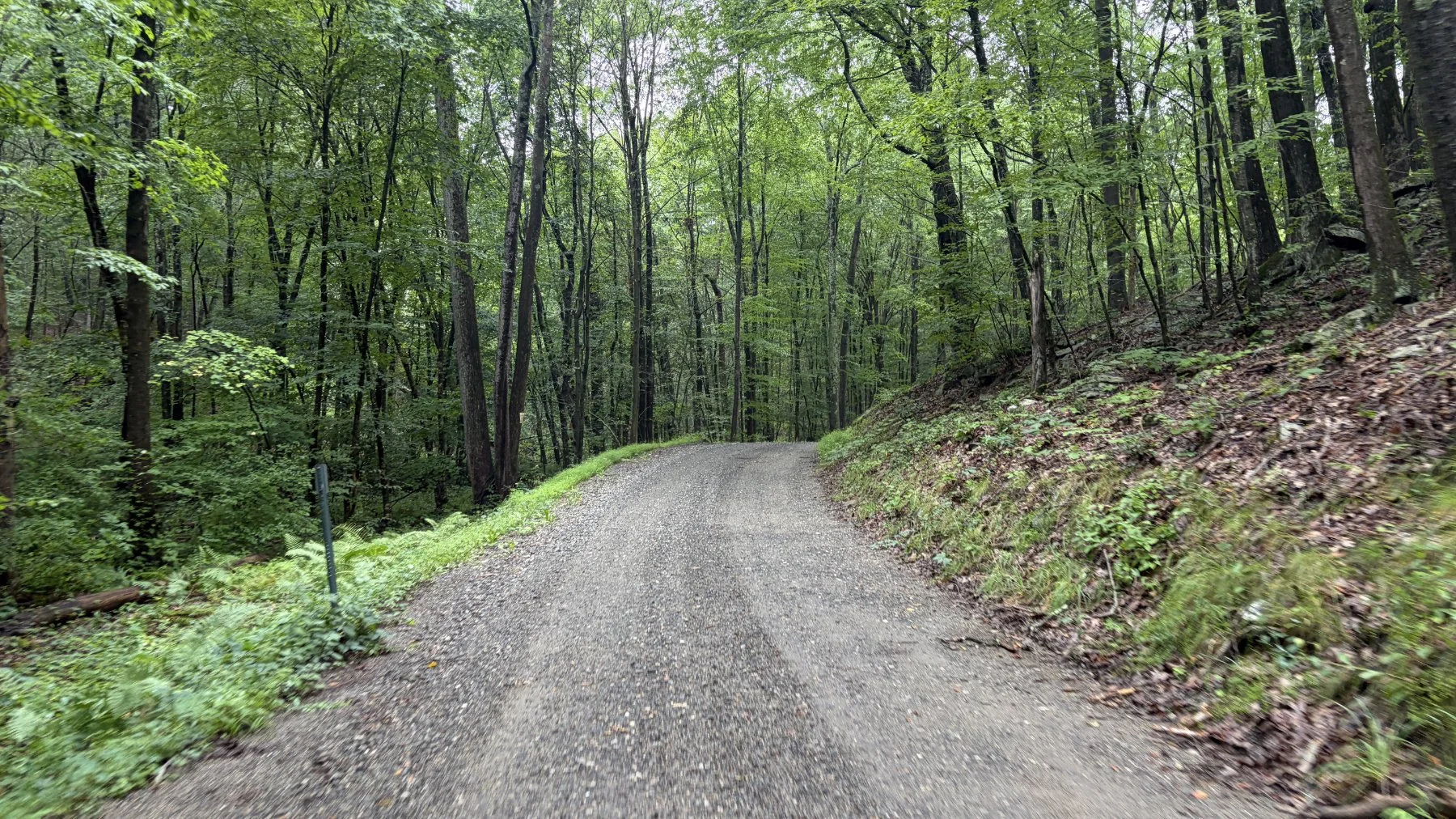 brookfield-ct-gravelstoke-dmalwitz_4335.jpg
