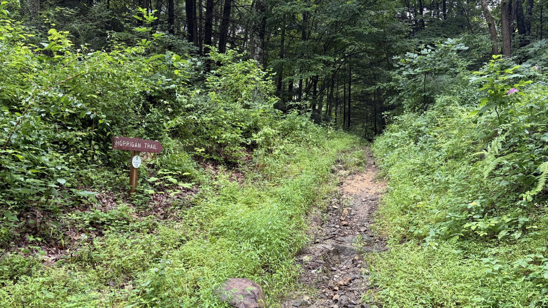 brookfield-ct-gravelstoke-dmalwitz_4340.jpg