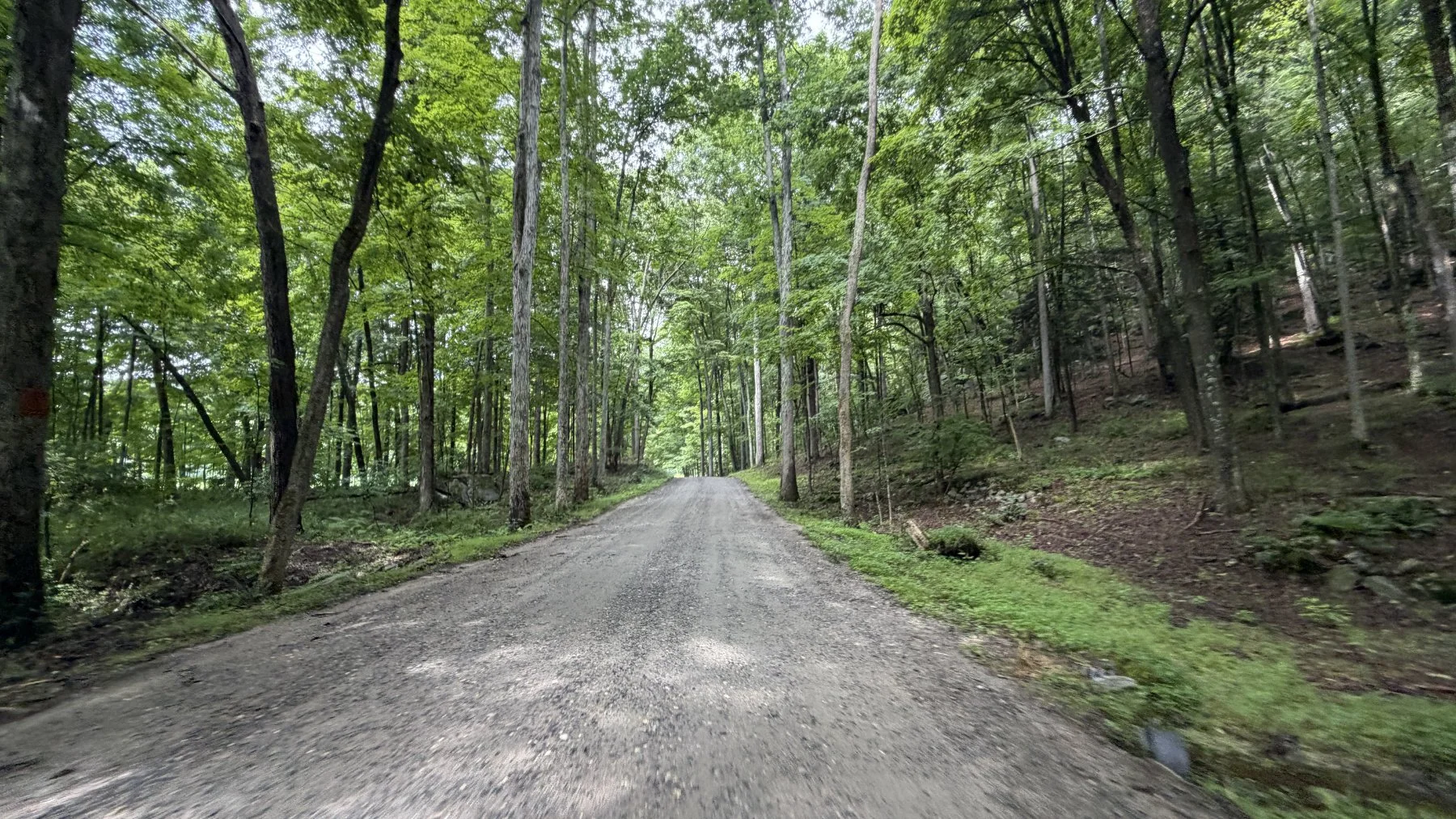 brookfield-ct-gravelstoke-dmalwitz_4354.jpg