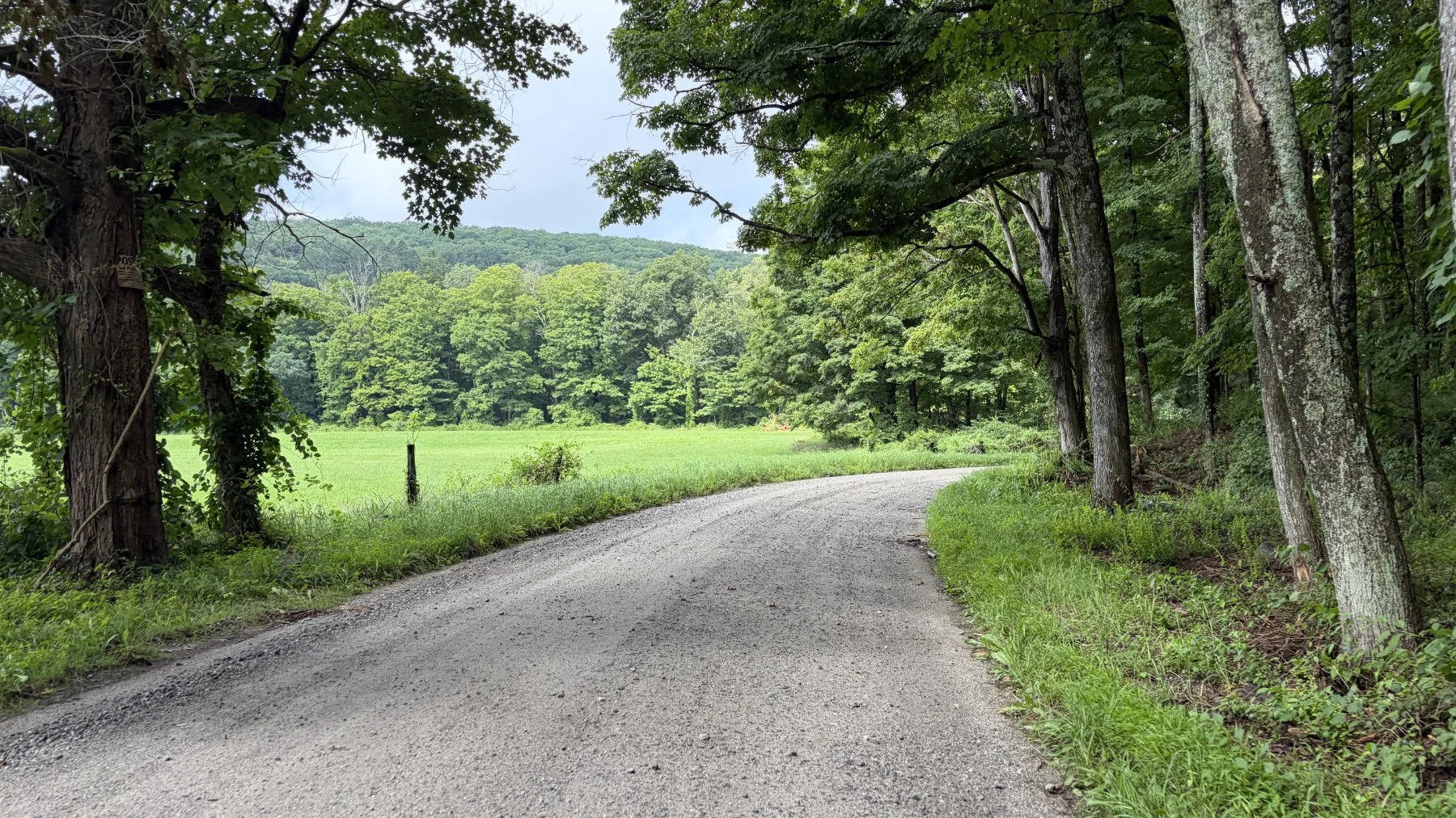 brookfield-ct-gravelstoke-dmalwitz_4355.jpg