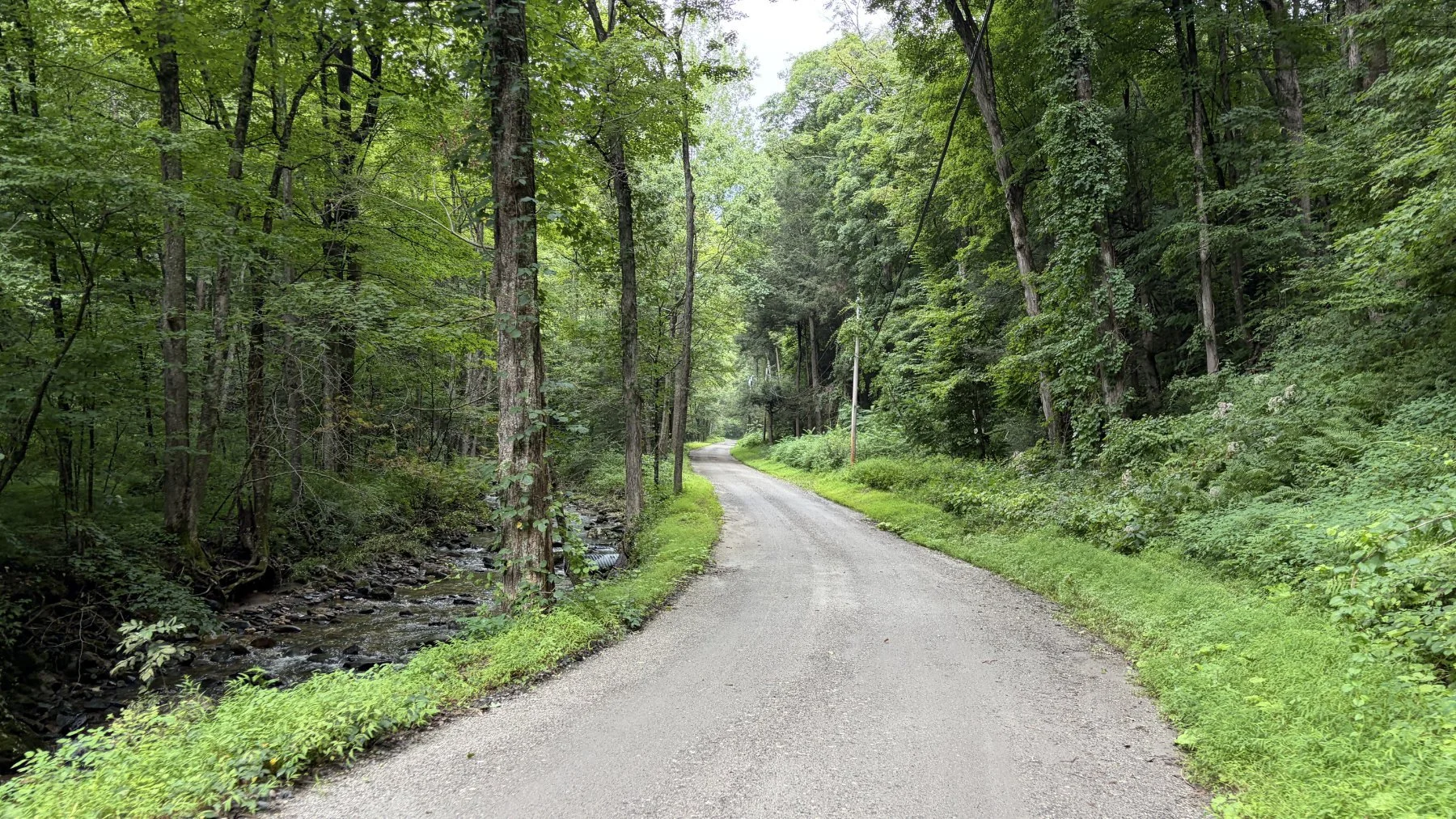 brookfield-ct-gravelstoke-dmalwitz_4387.jpg