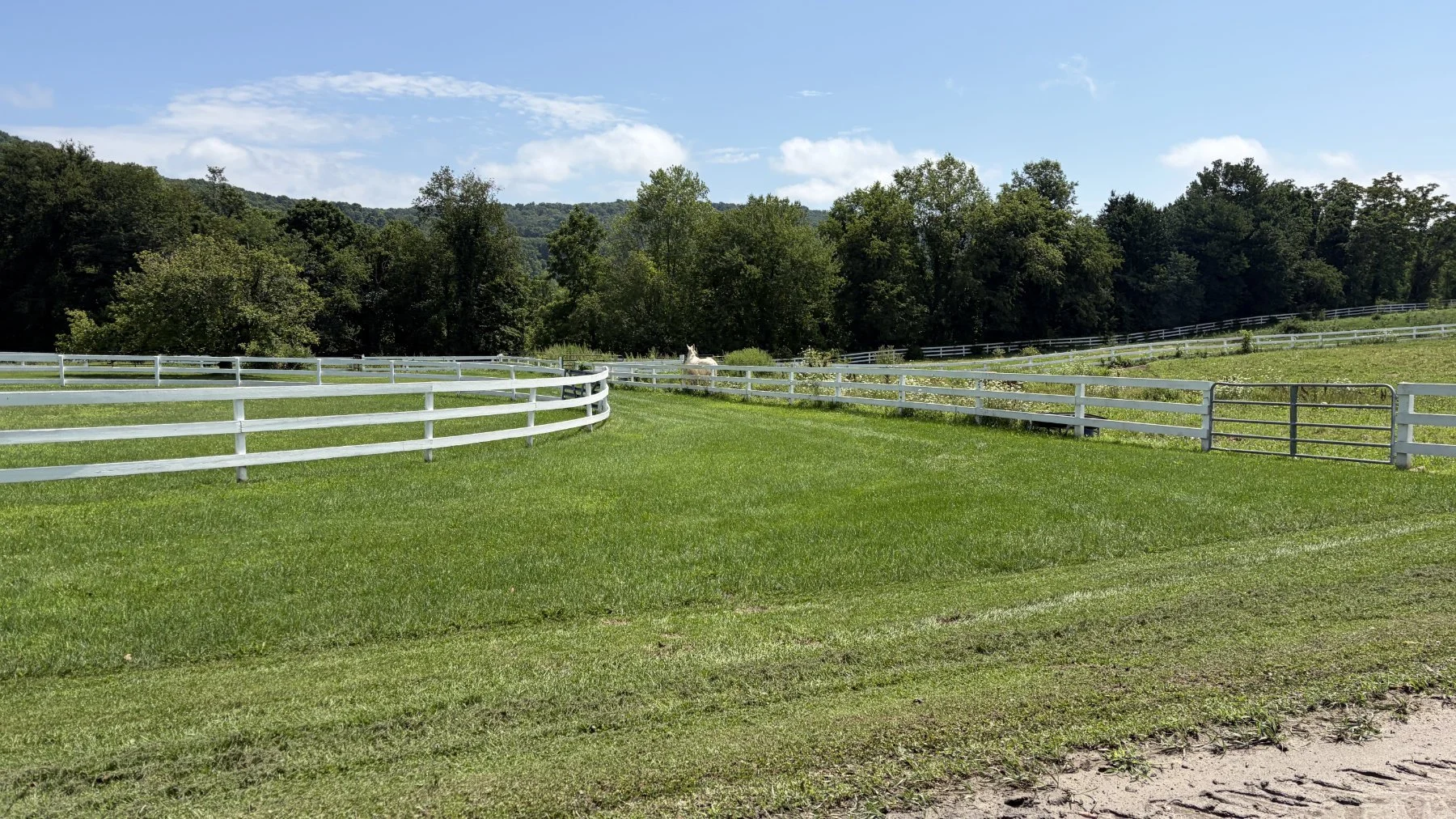 brookfield-ct-gravelstoke-dmalwitz_4436.jpg