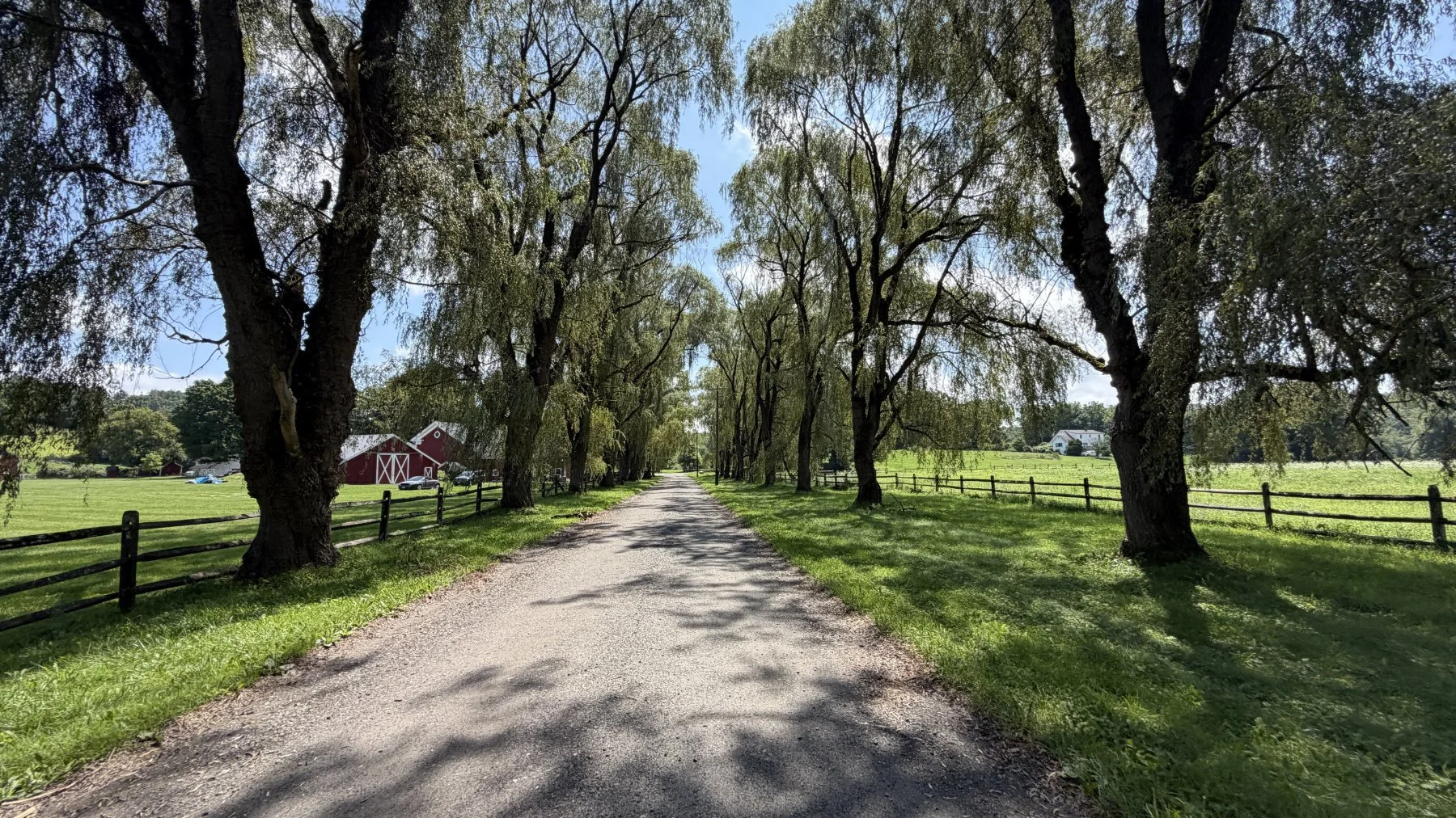 brookfield-ct-gravelstoke-dmalwitz_4456.jpg
