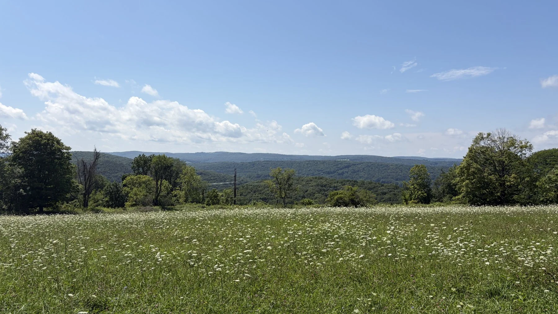 brookfield-ct-gravelstoke-dmalwitz_4475.jpg