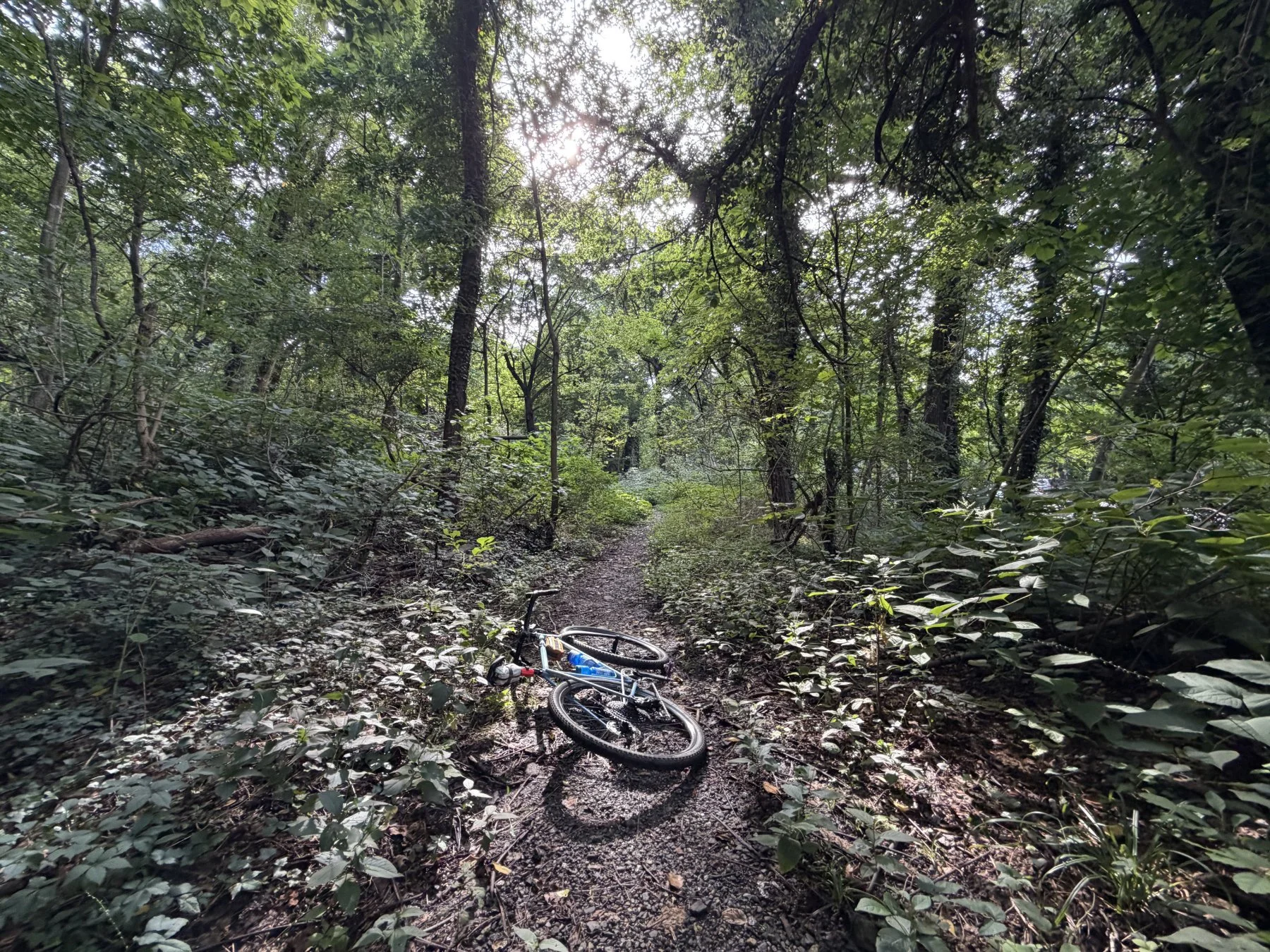 dmalwitz_gravelstoke_philly_601.jpg