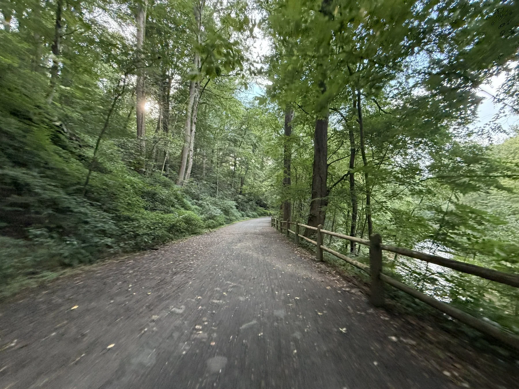 dmalwitz_gravelstoke_philly_631.jpg