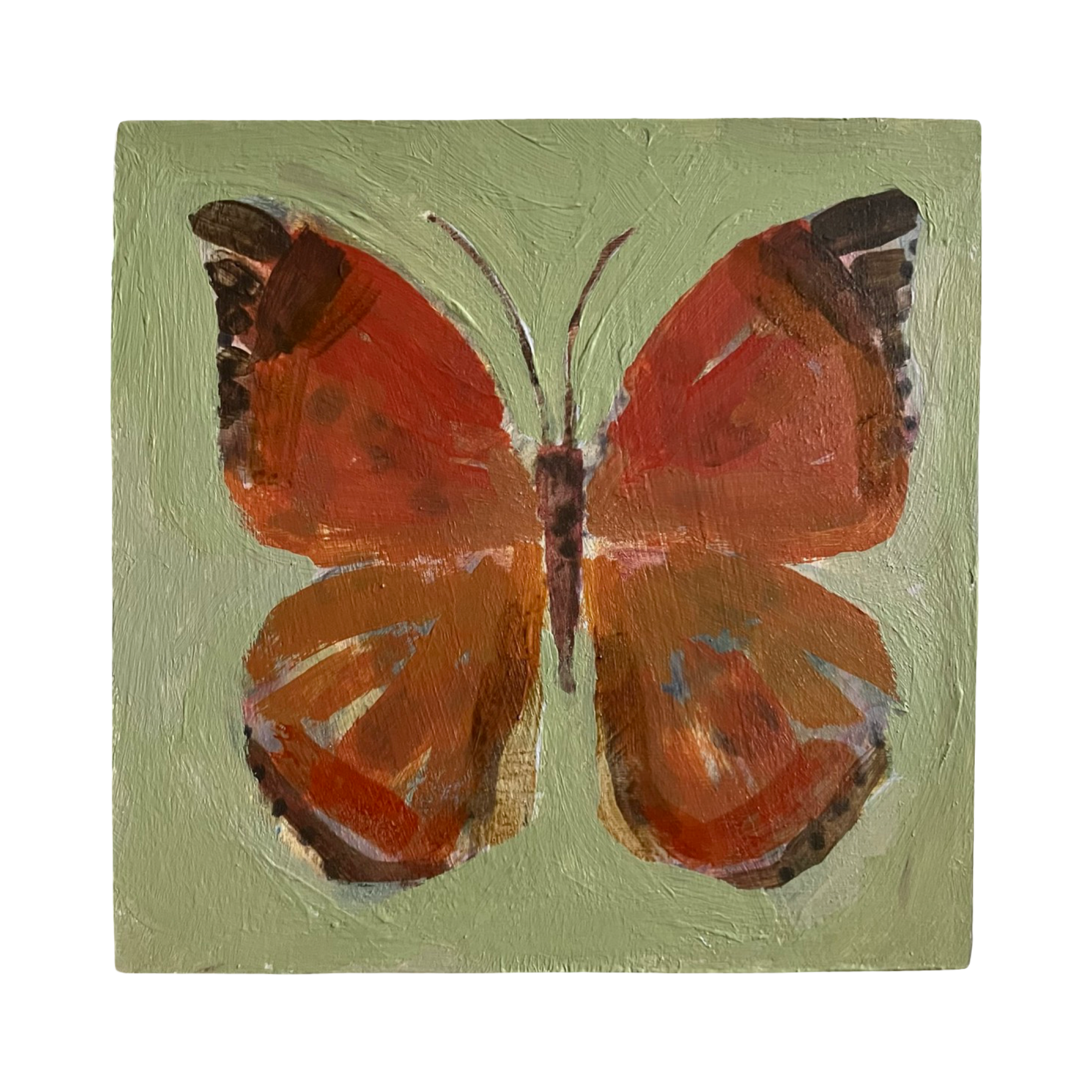 Butterfly no. 3 (4x4)