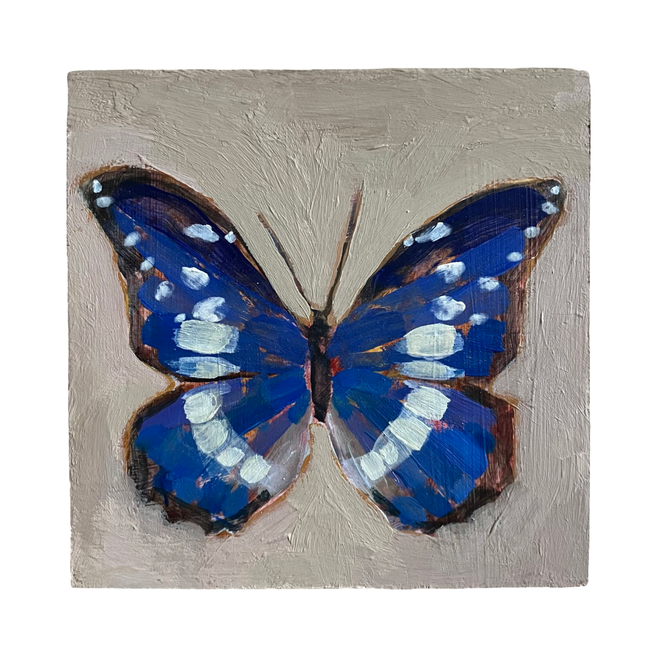 Butterfly no. 11 (4x4)
