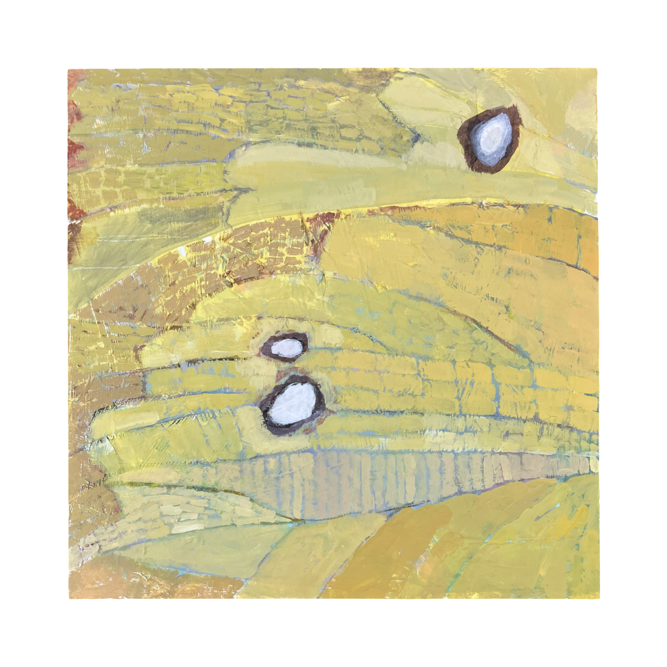 2C3BAF83-EAE7-45DA-B92B-FBA43B4AE42A.png