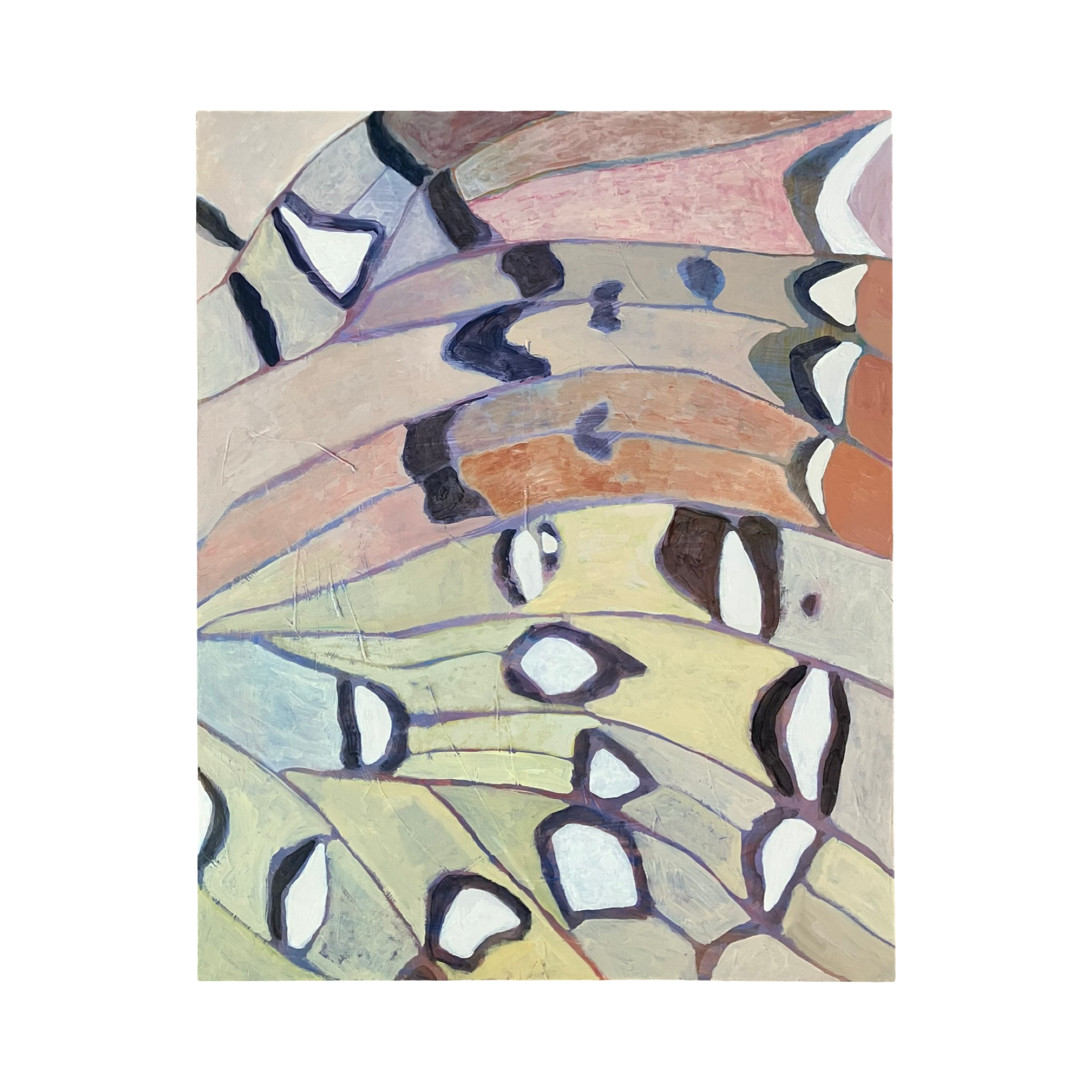A894CDBB-EC04-44D7-A9D5-B90173305897.png