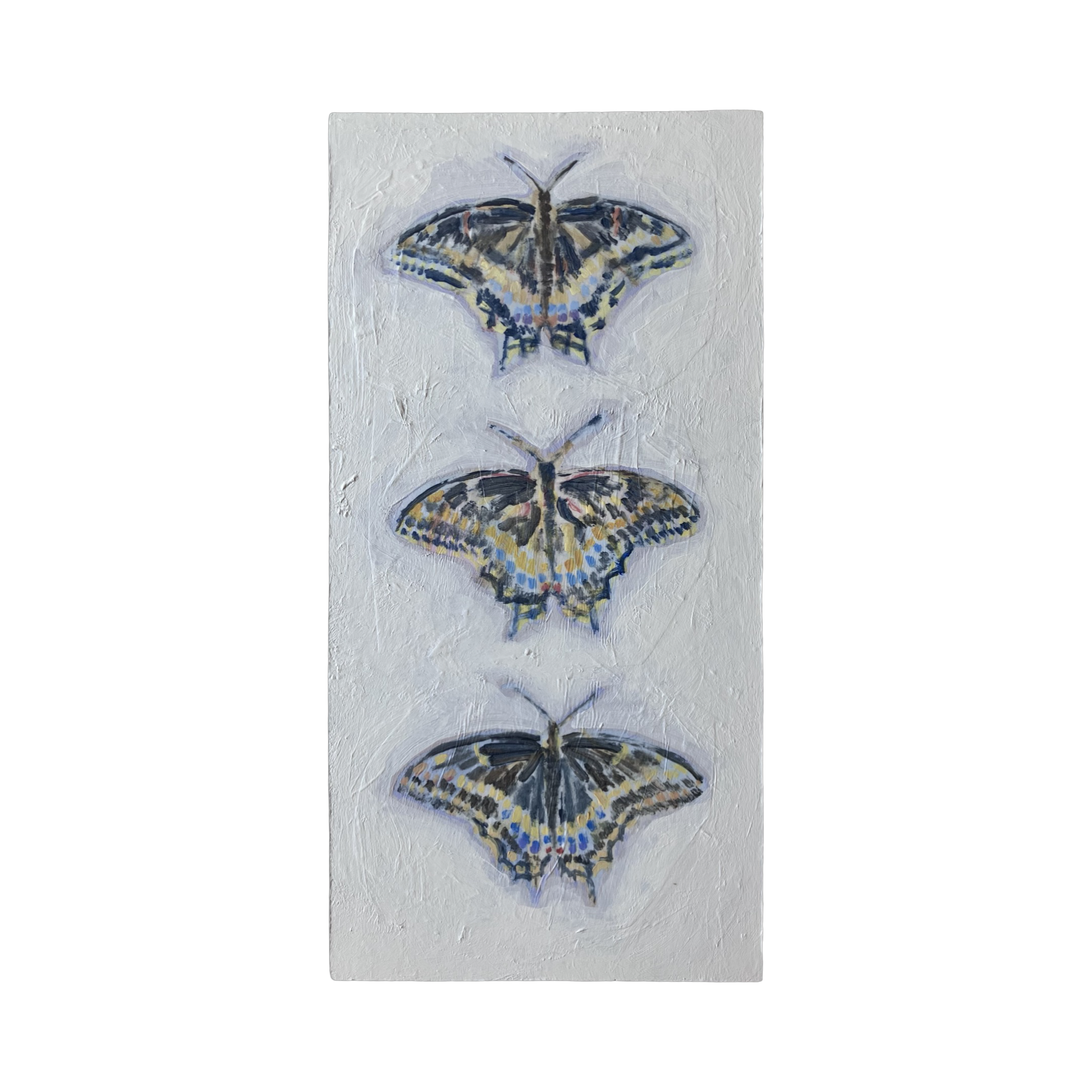 Three swallowtails (6x12)