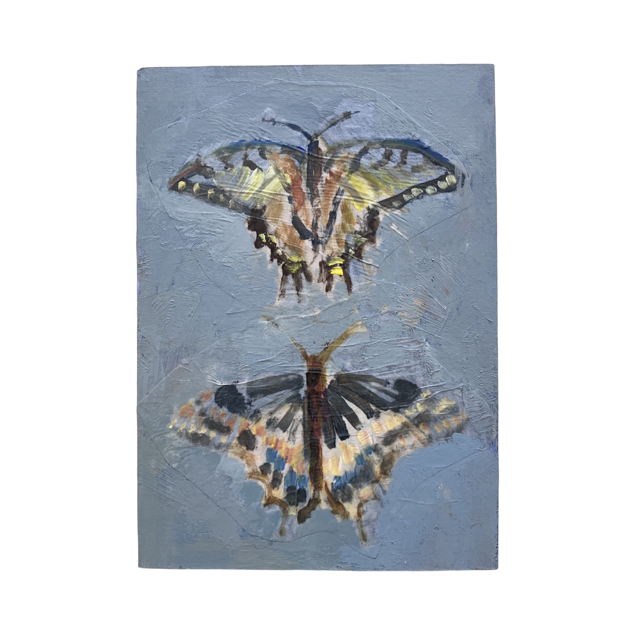Two swallowtails (5x7)