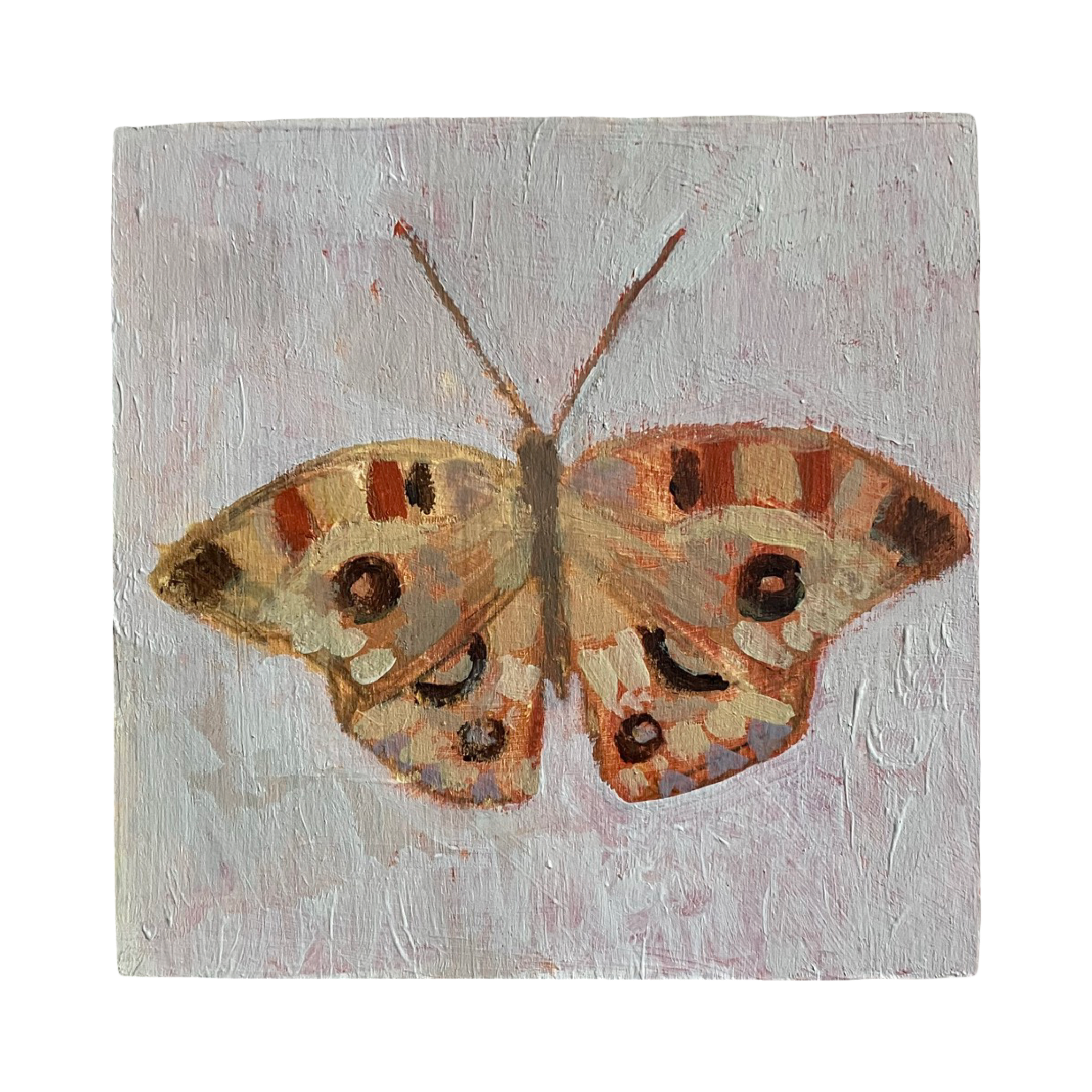 Butterfly no. 8 (4x4)