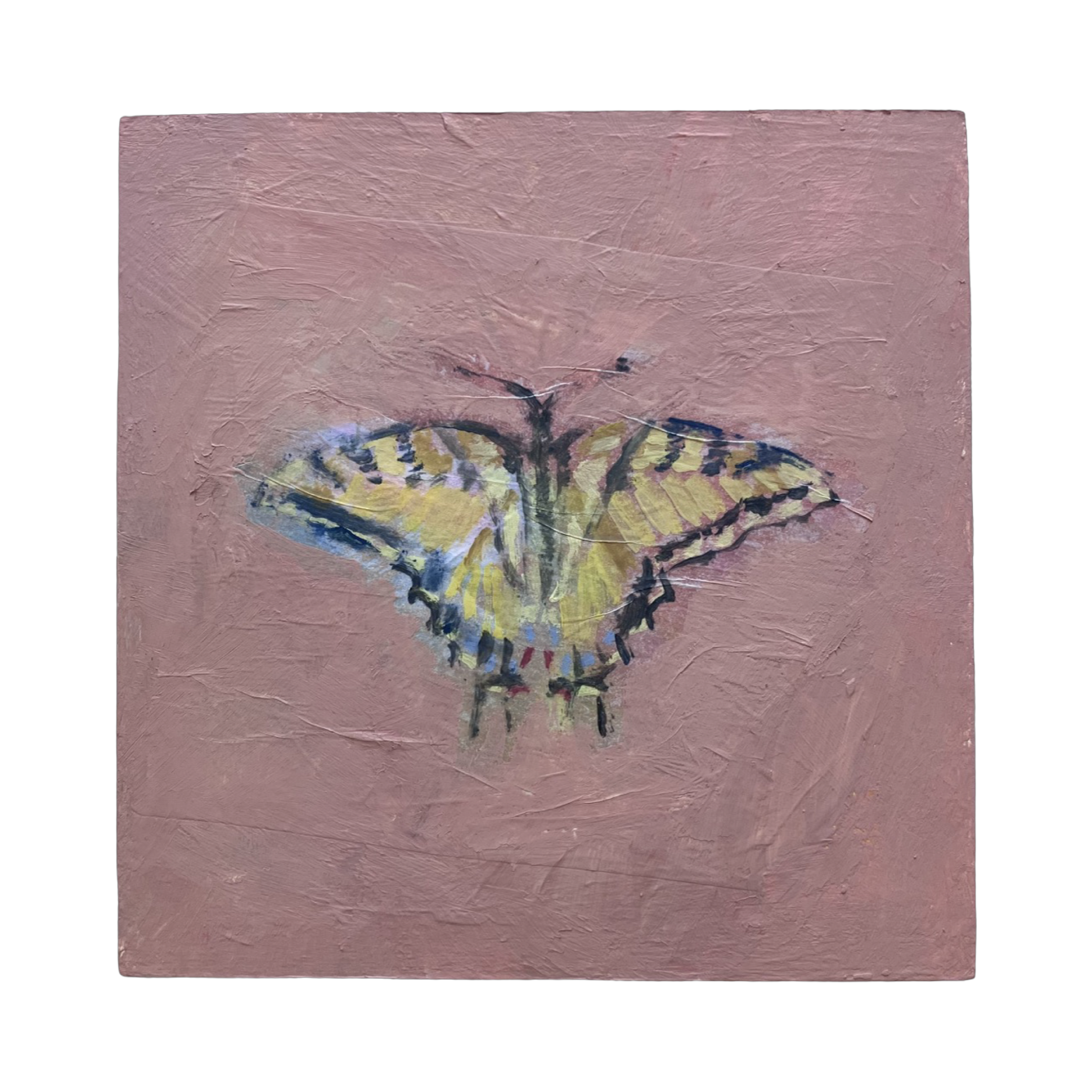 Tiger swallowtail (6x6)