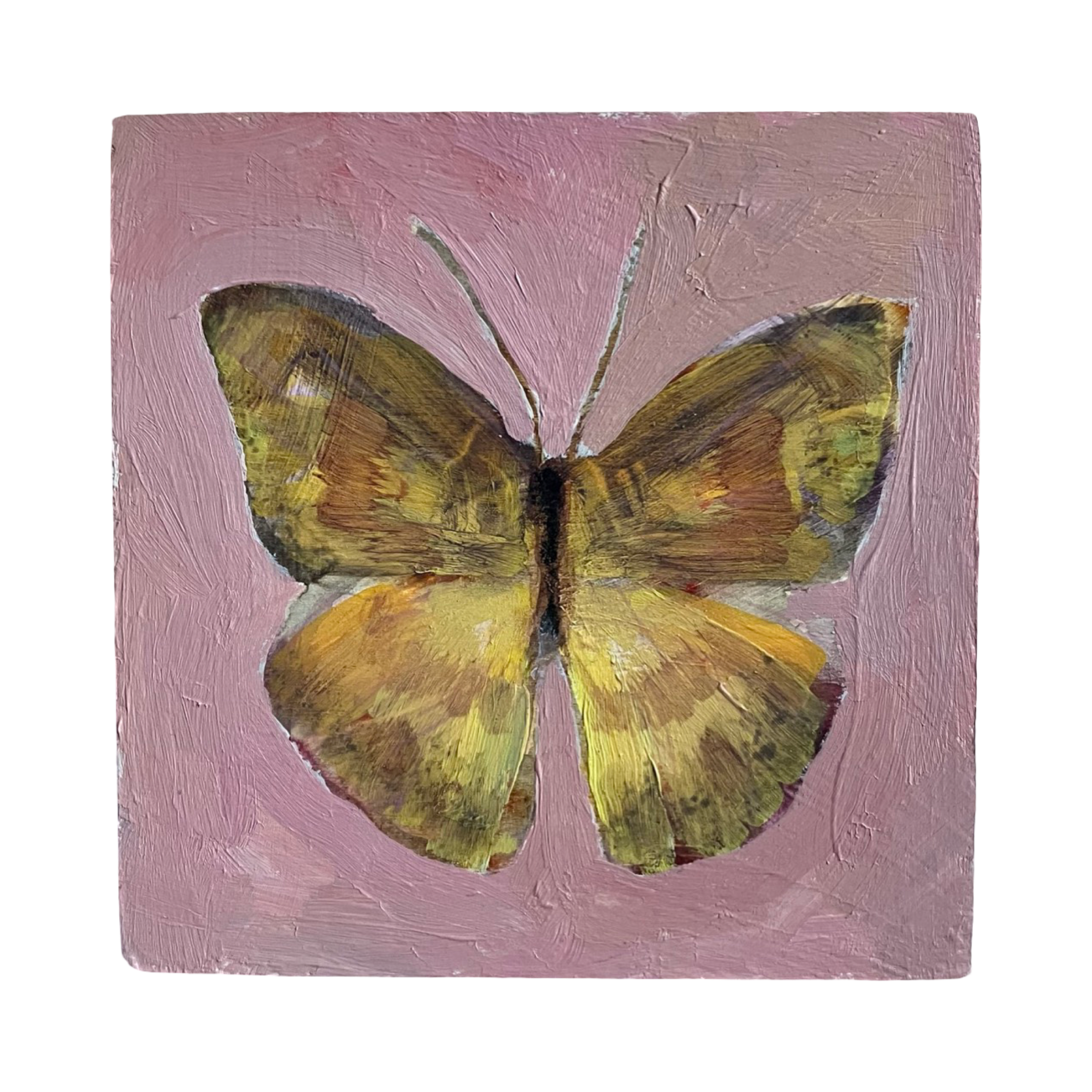 Butterfly no. 12 (4x4)
