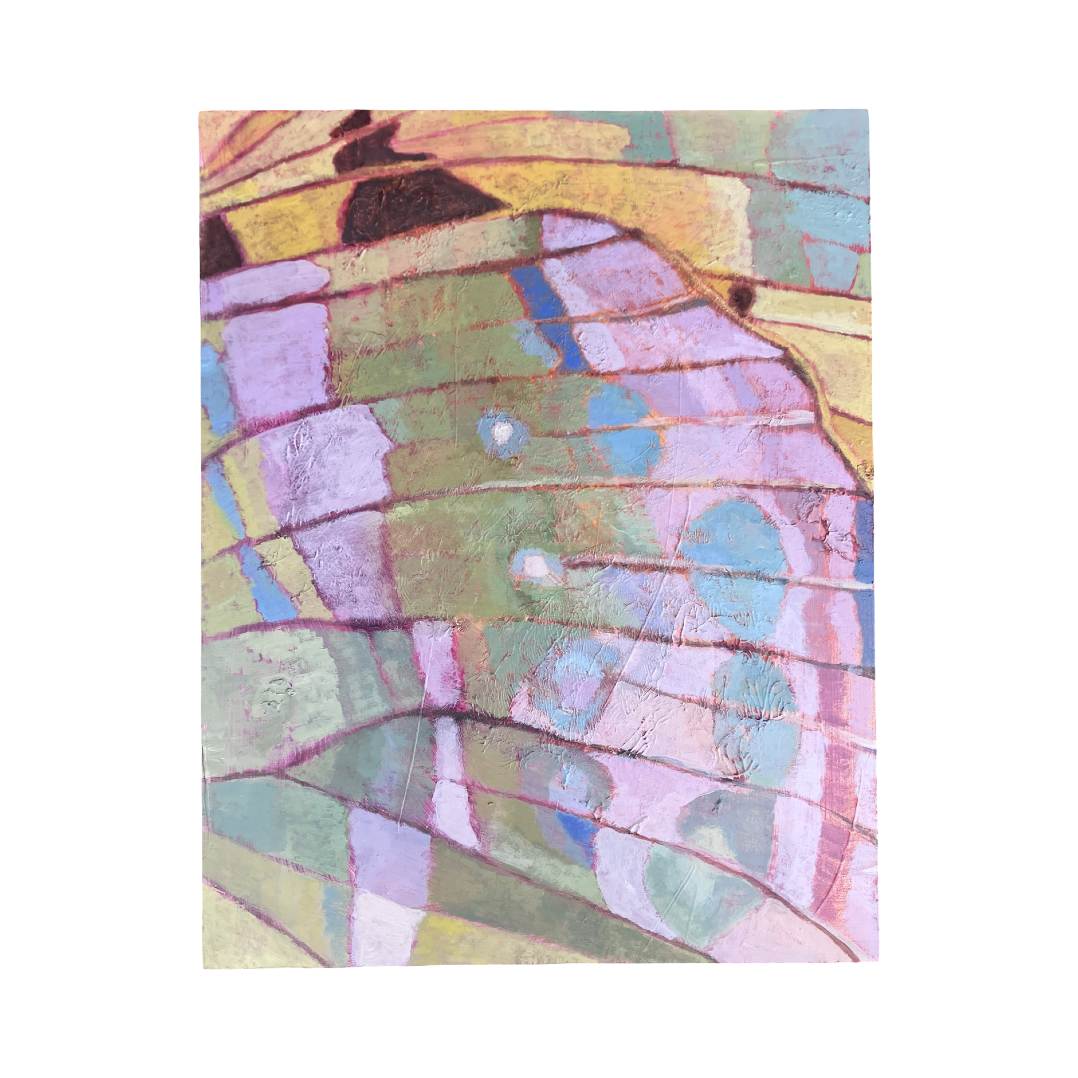IMG_0050.png